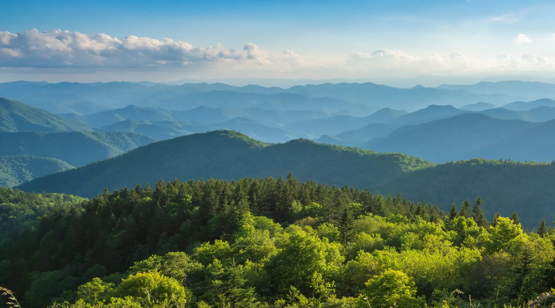 SBTi Release - Smokey Mountains