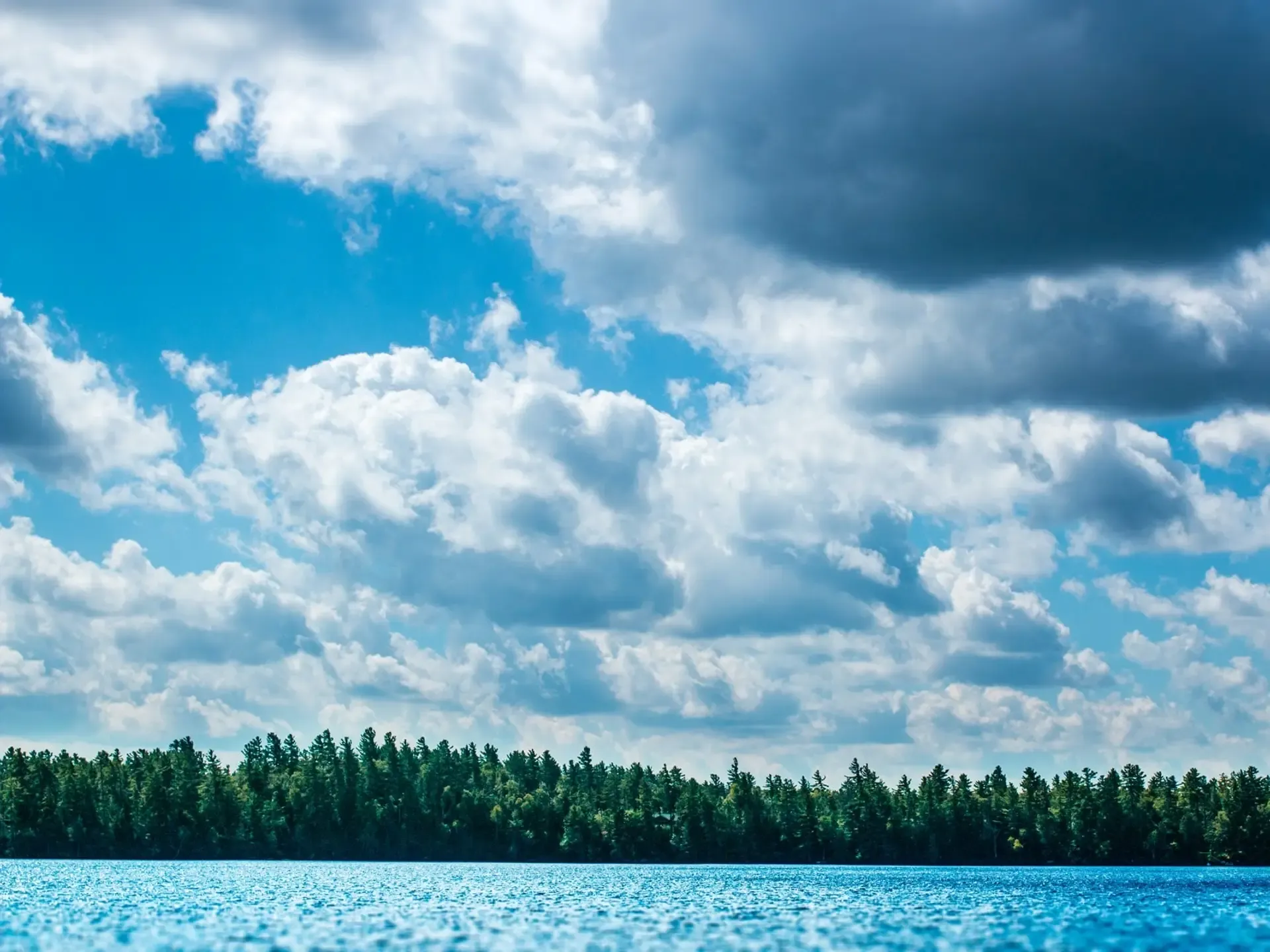 nick-casale-88PQxSVFvwE-unsplash