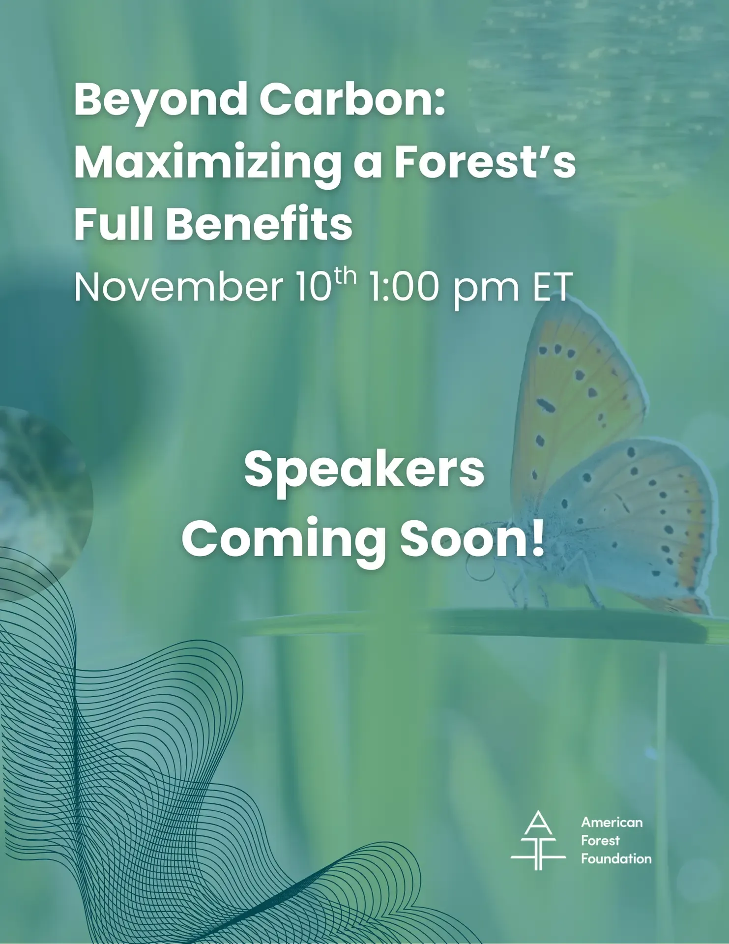 Philanthropy Webinar Graphics (website) (4)