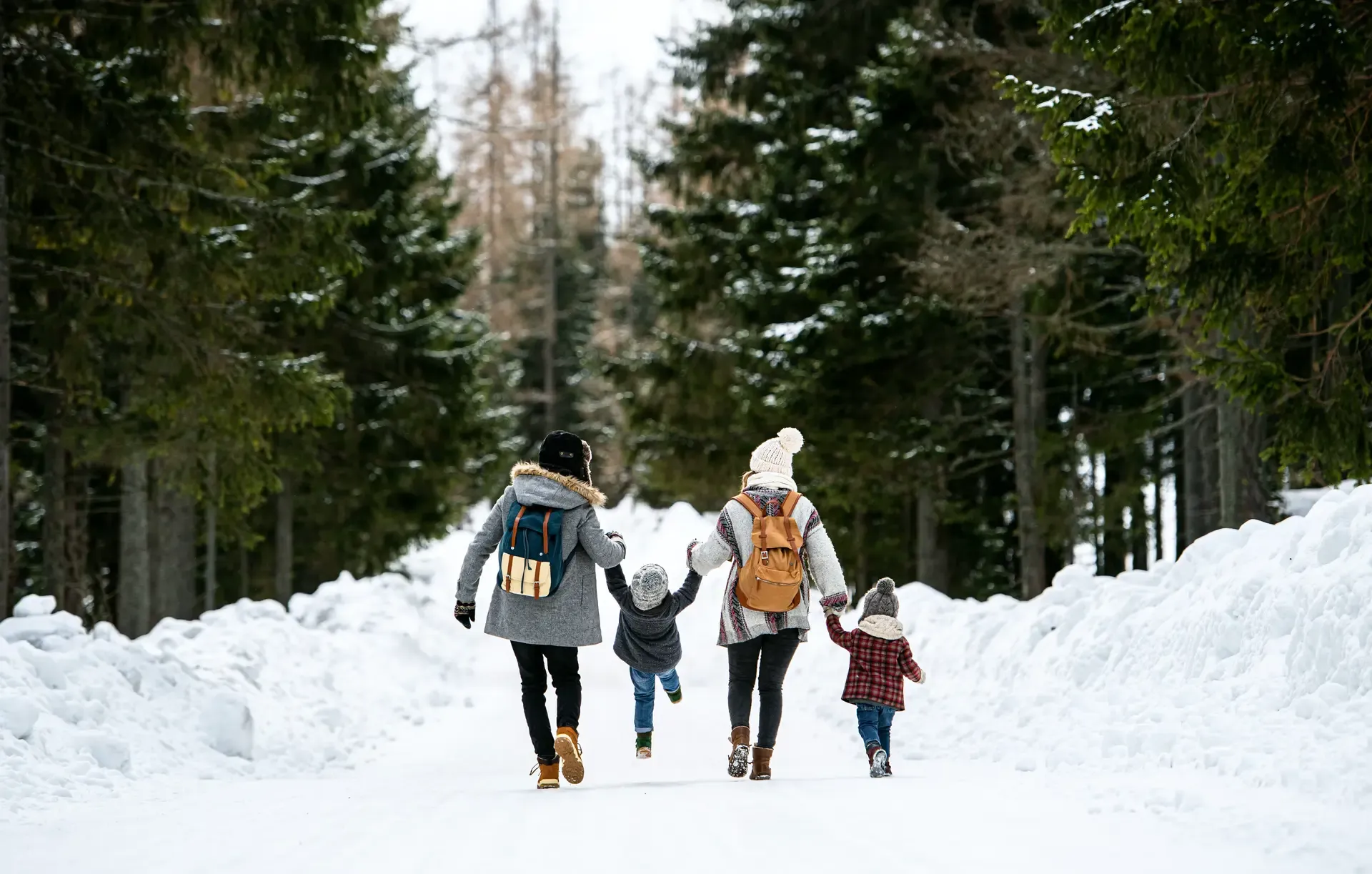 Forest Owners - Winter