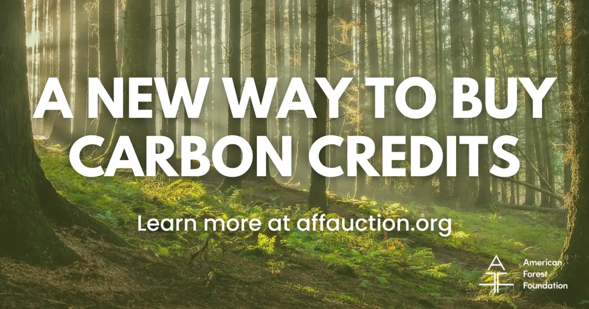 A New Way to Buy Carbon Credits