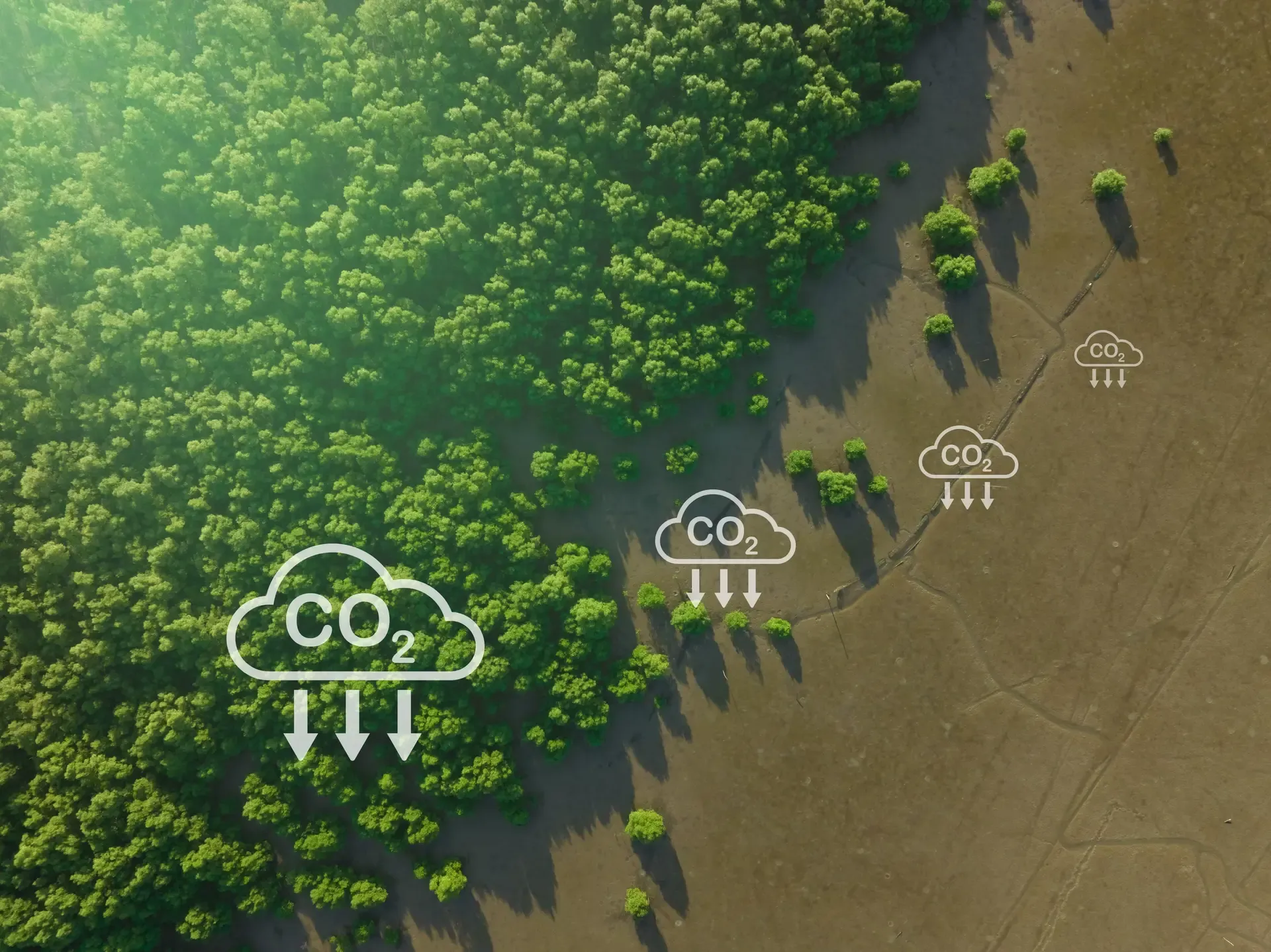 AFF-CO2-concept-art