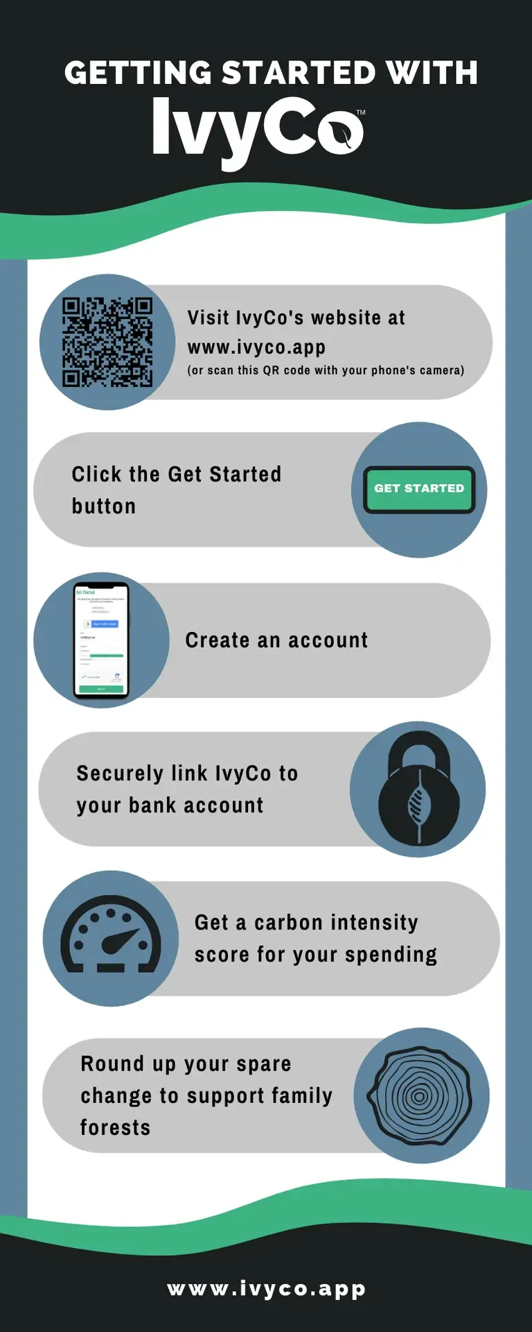 Ivy Co-Infographic-image 2