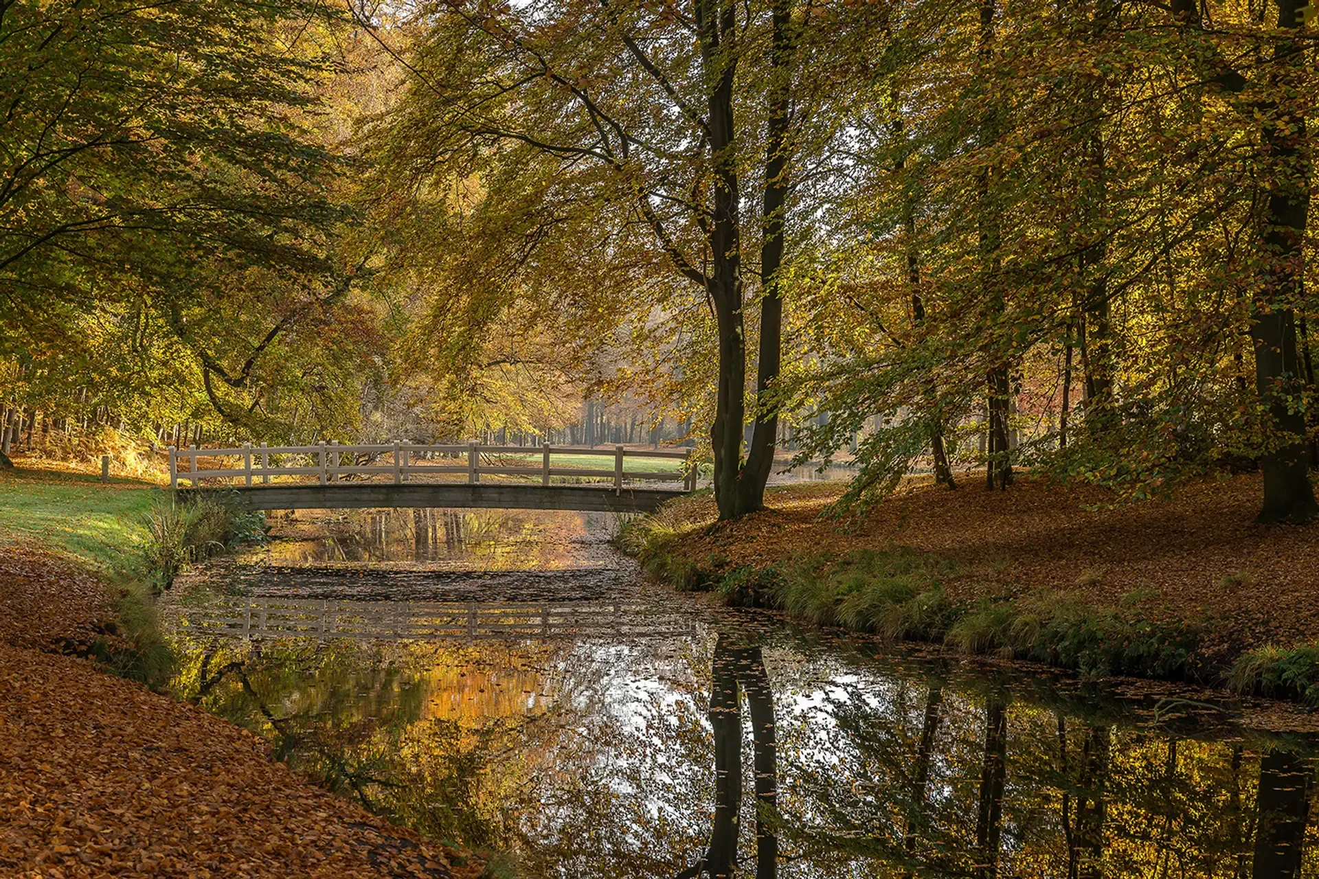 Lake-park-bridge-cross-lake-surrounded-with-trees