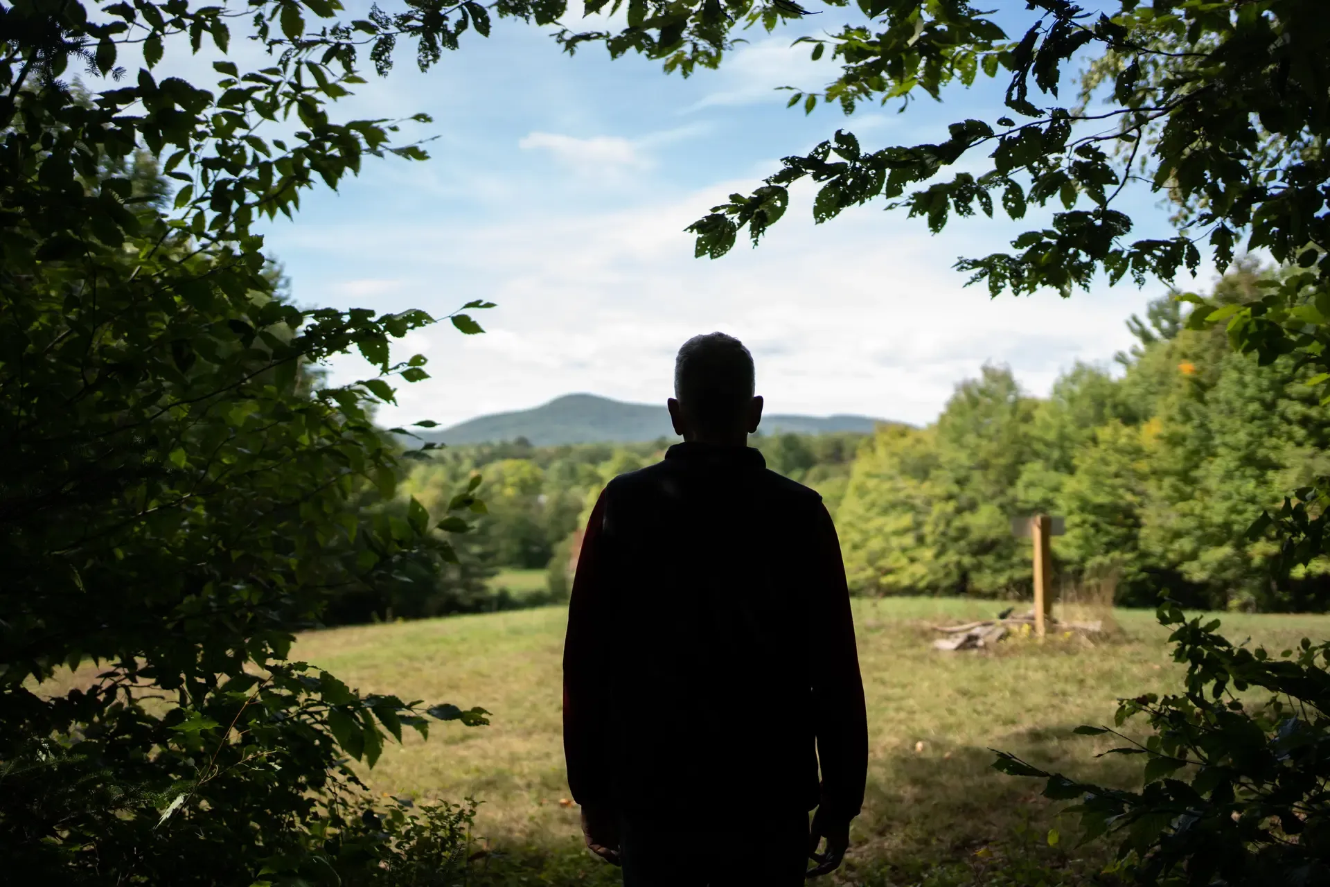 Tim Stout Silhouette