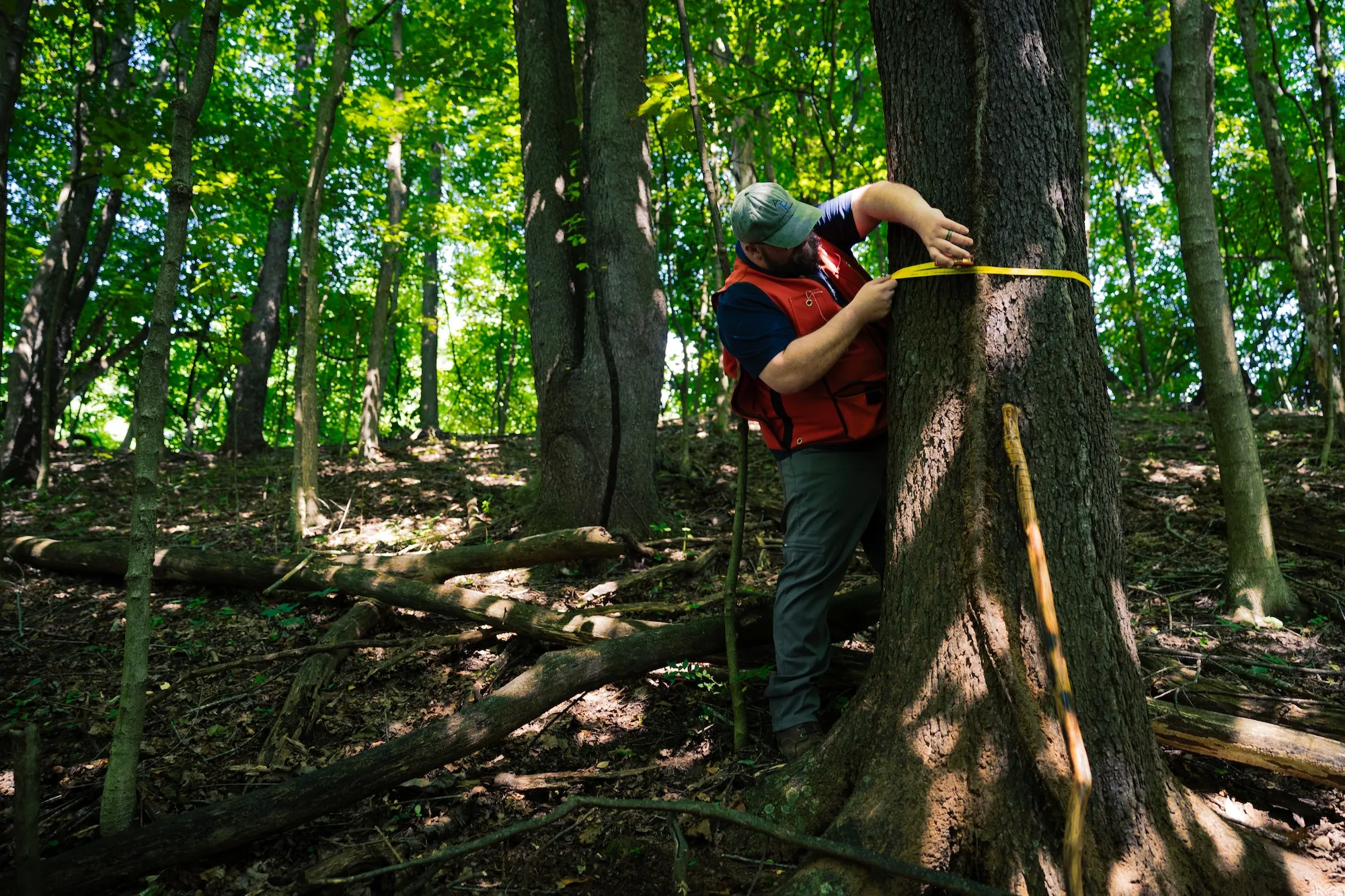 Family Forest Carbon Program Forester