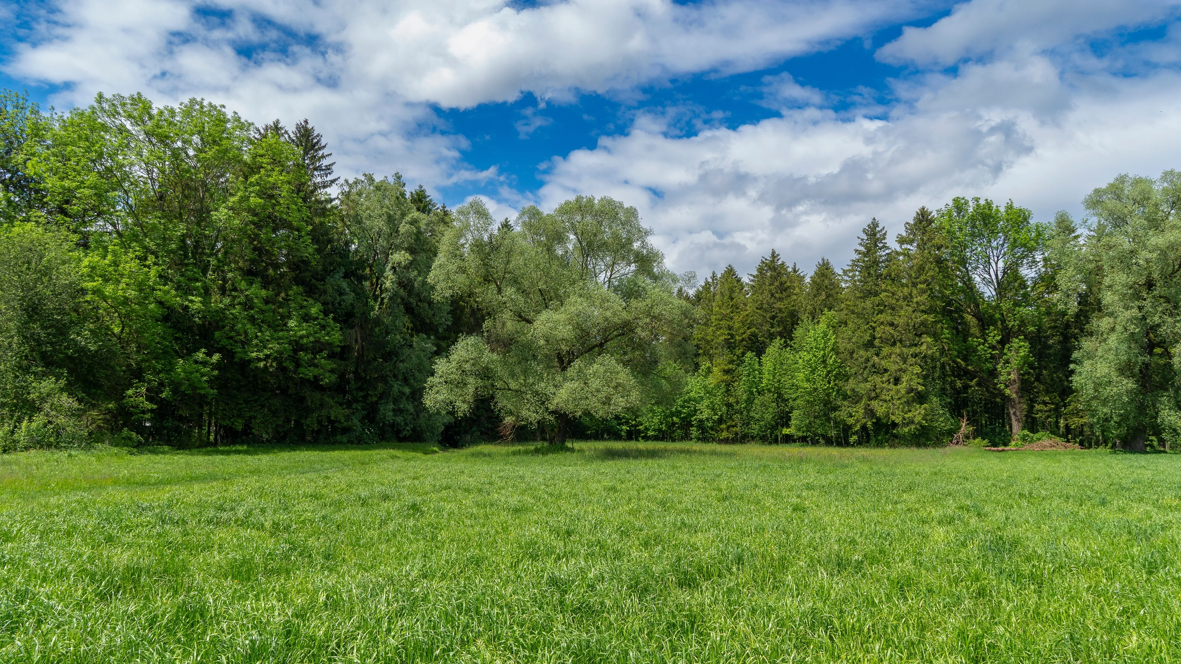 Shutterstock 2460107781