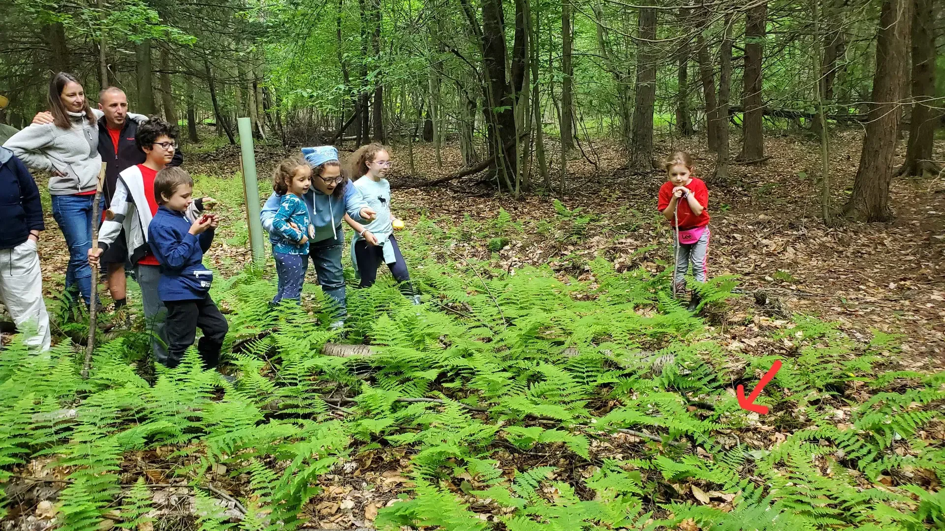 AFF-landowners-have-snake-sighting