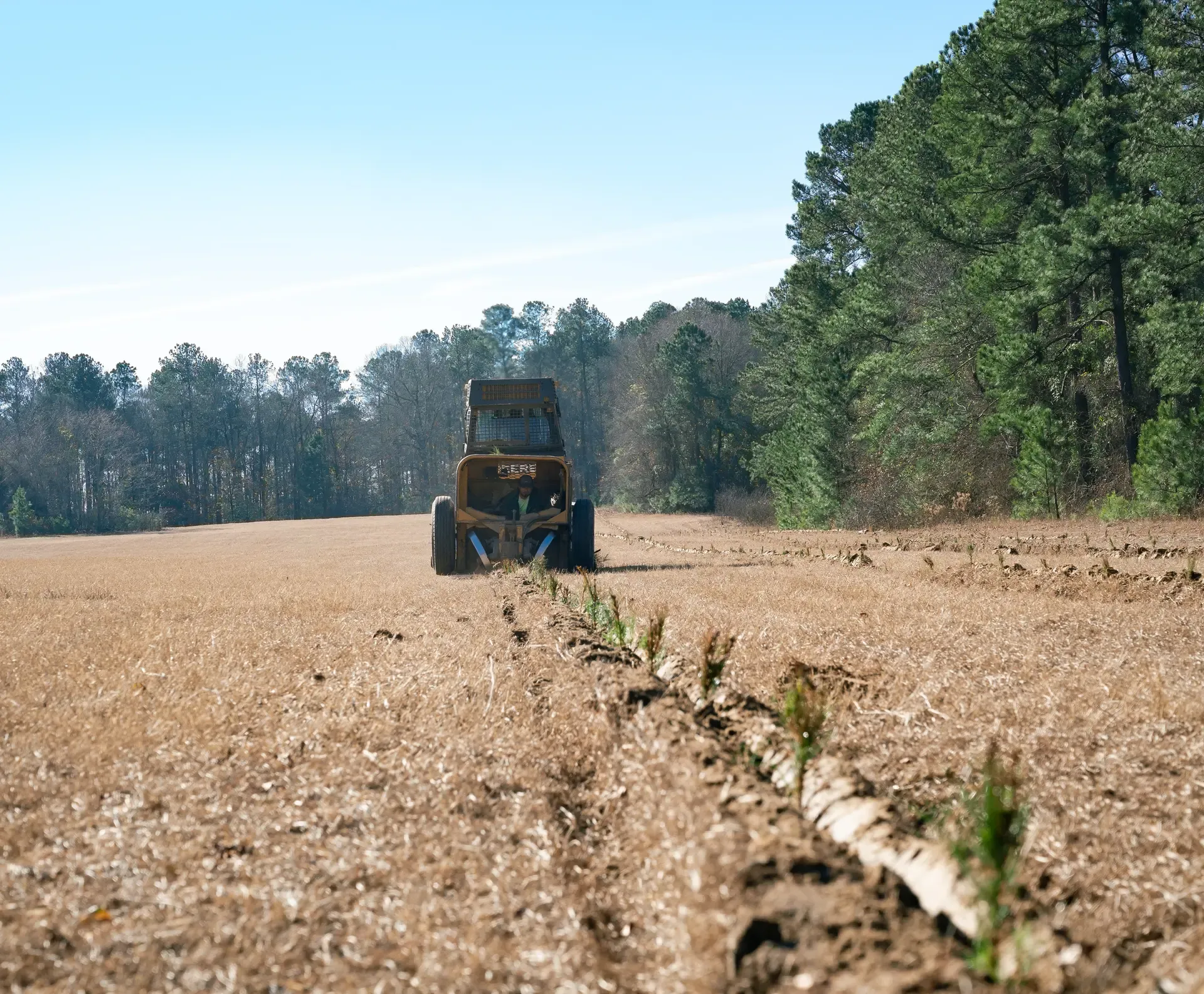 F2F Highlight Planting Image