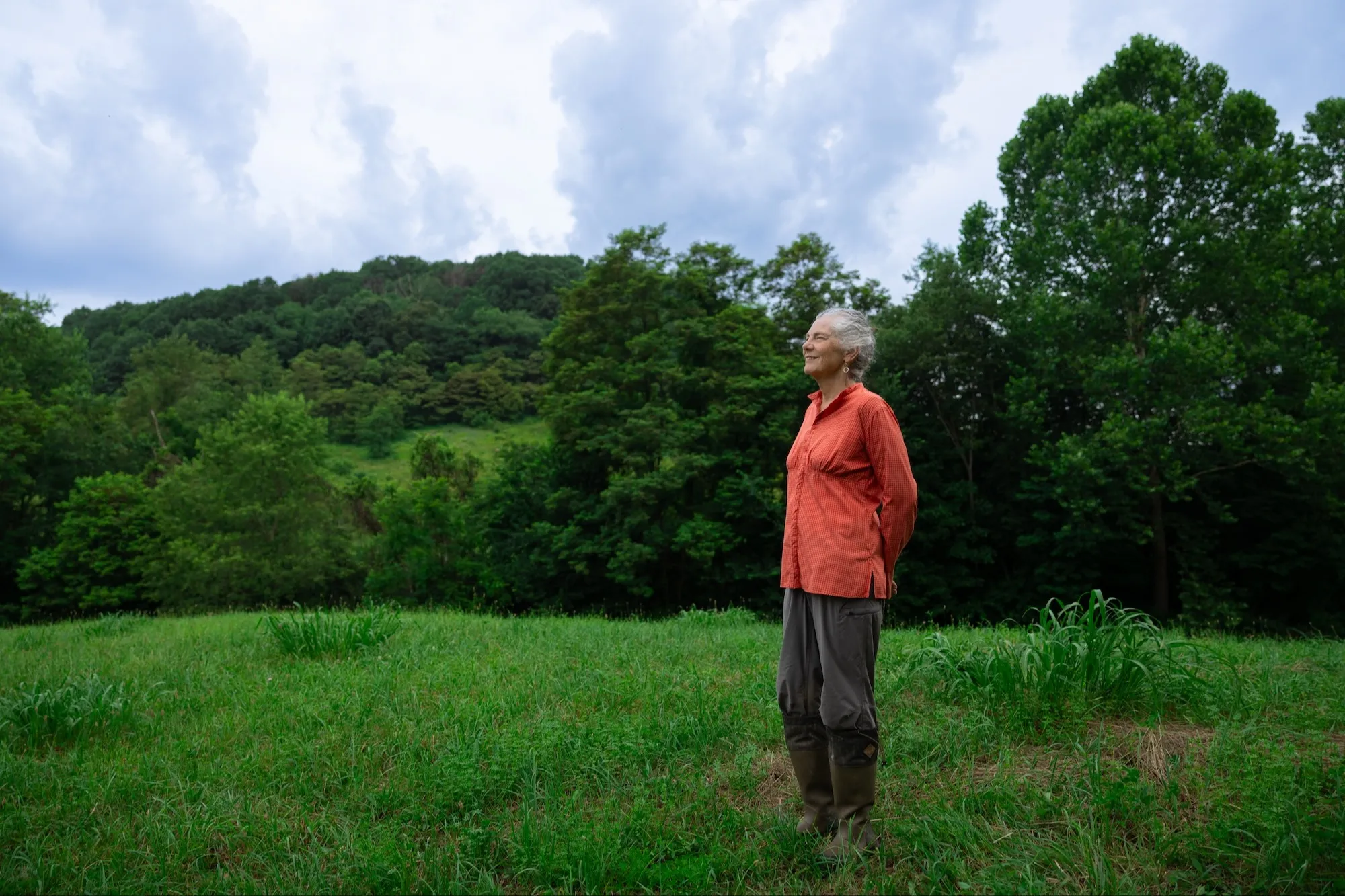 Family Forest Carbon Program Greenwashing 