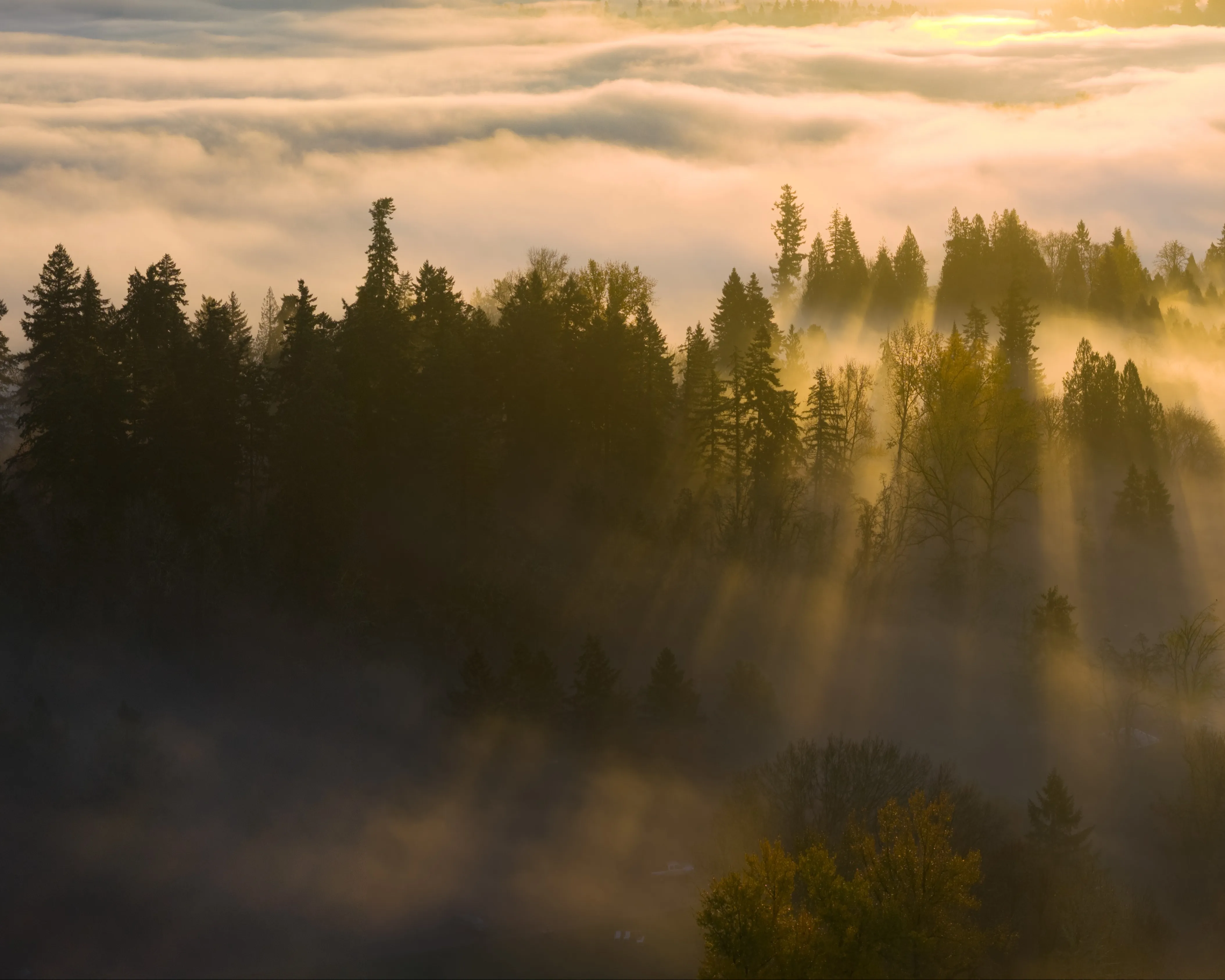 Shutterstock 2709472445