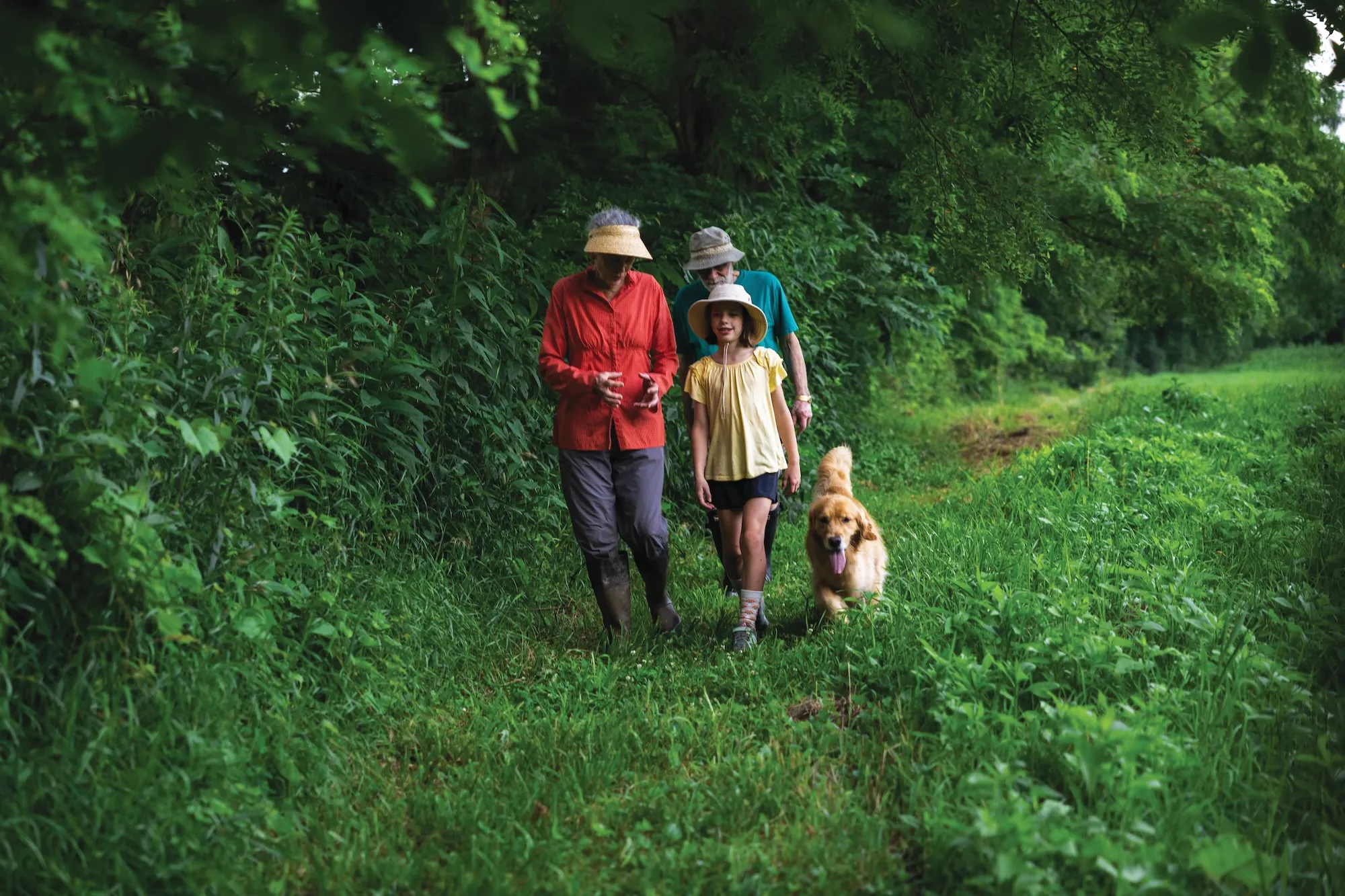 Family Forest Carbon Program Non Profit
