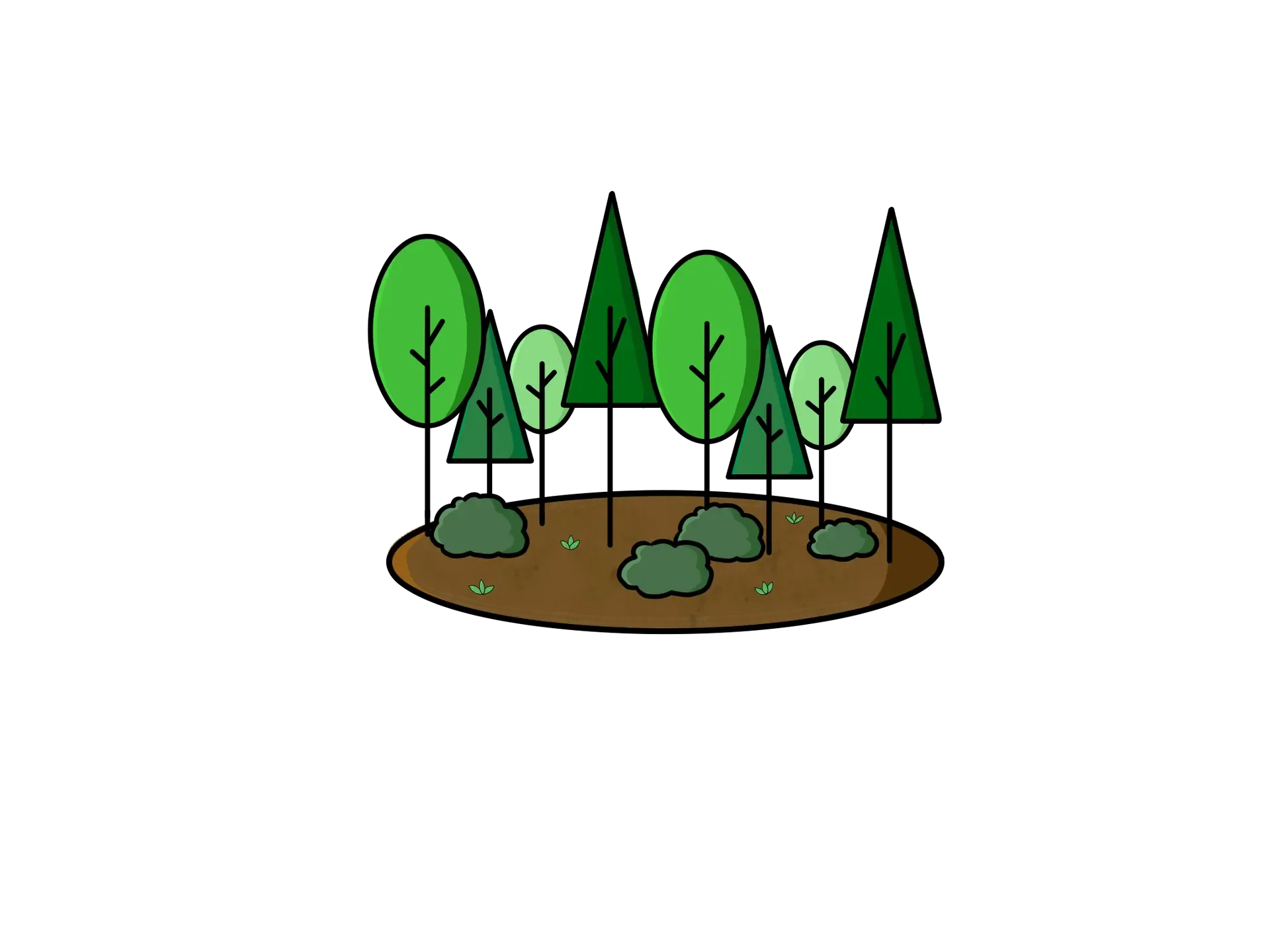 Management Transparent Background