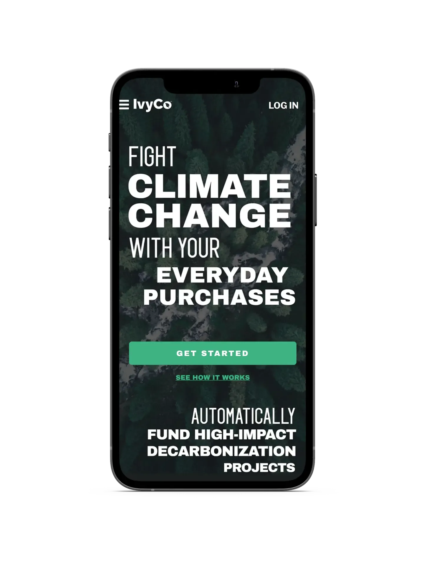 IvyCo-Image 1