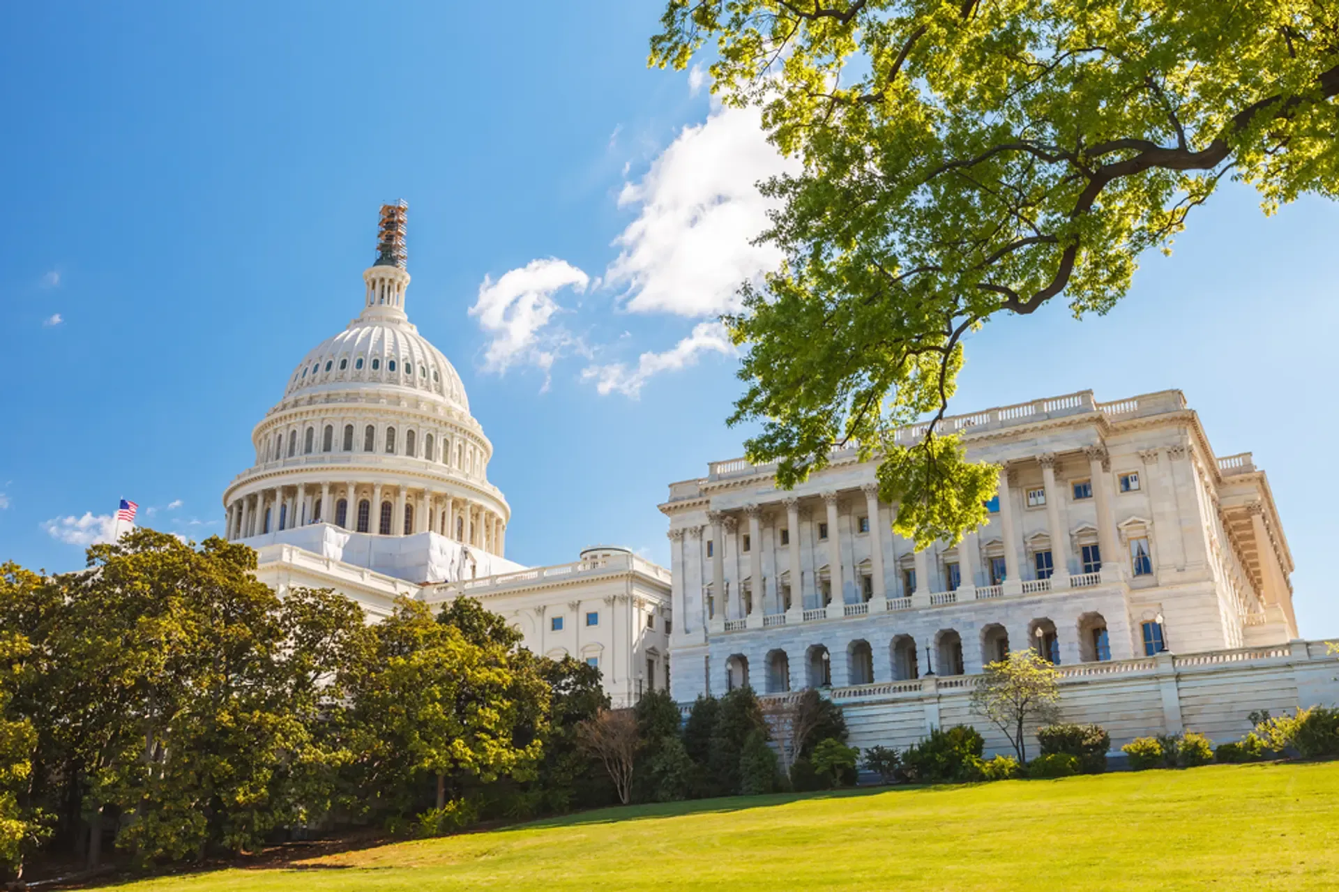 Capitol Building with trees_Shutterstock