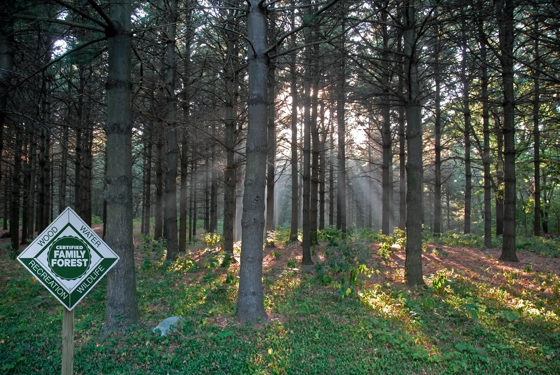 ATFS Sign In Woods