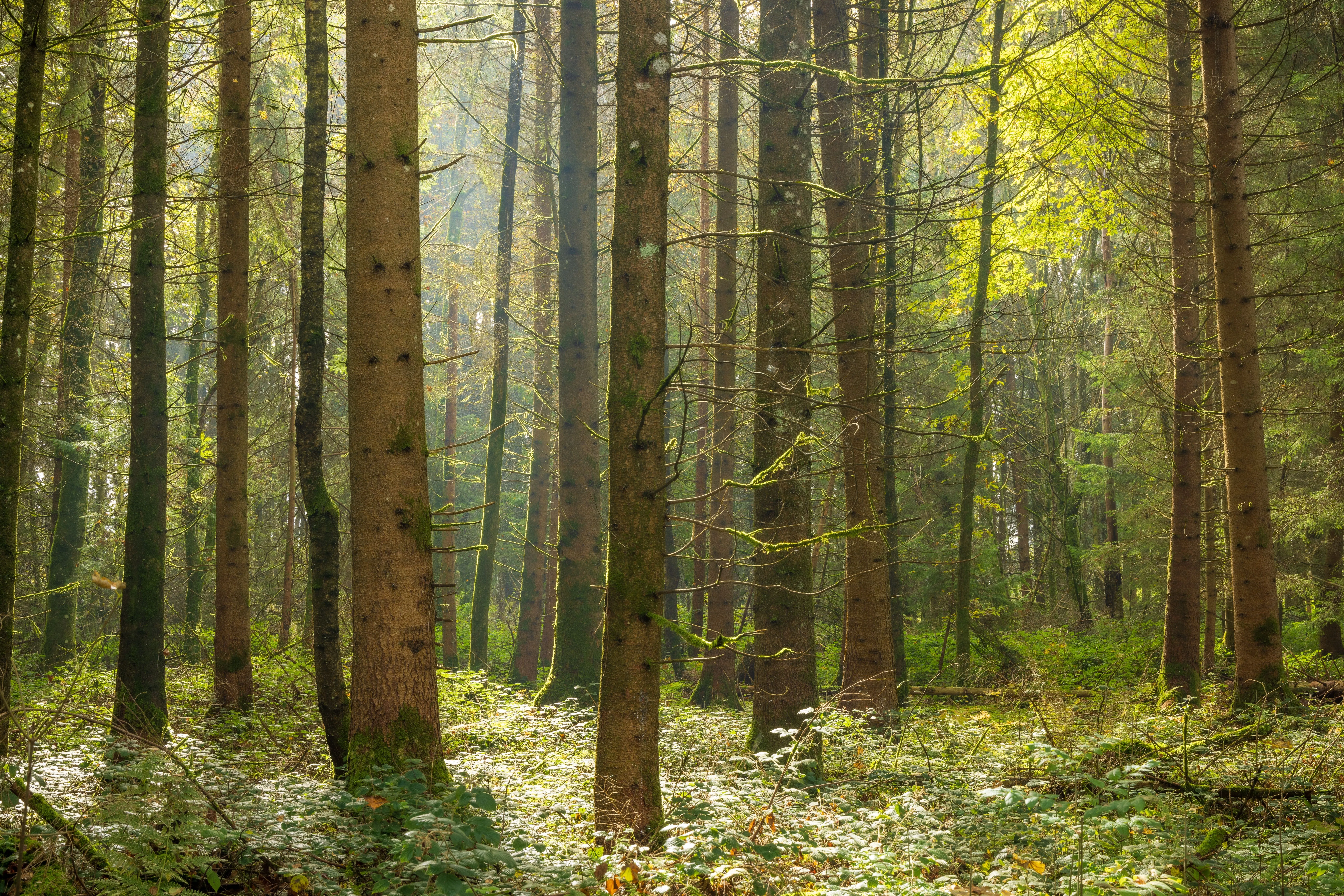 Shutterstock 2478663325 (1)