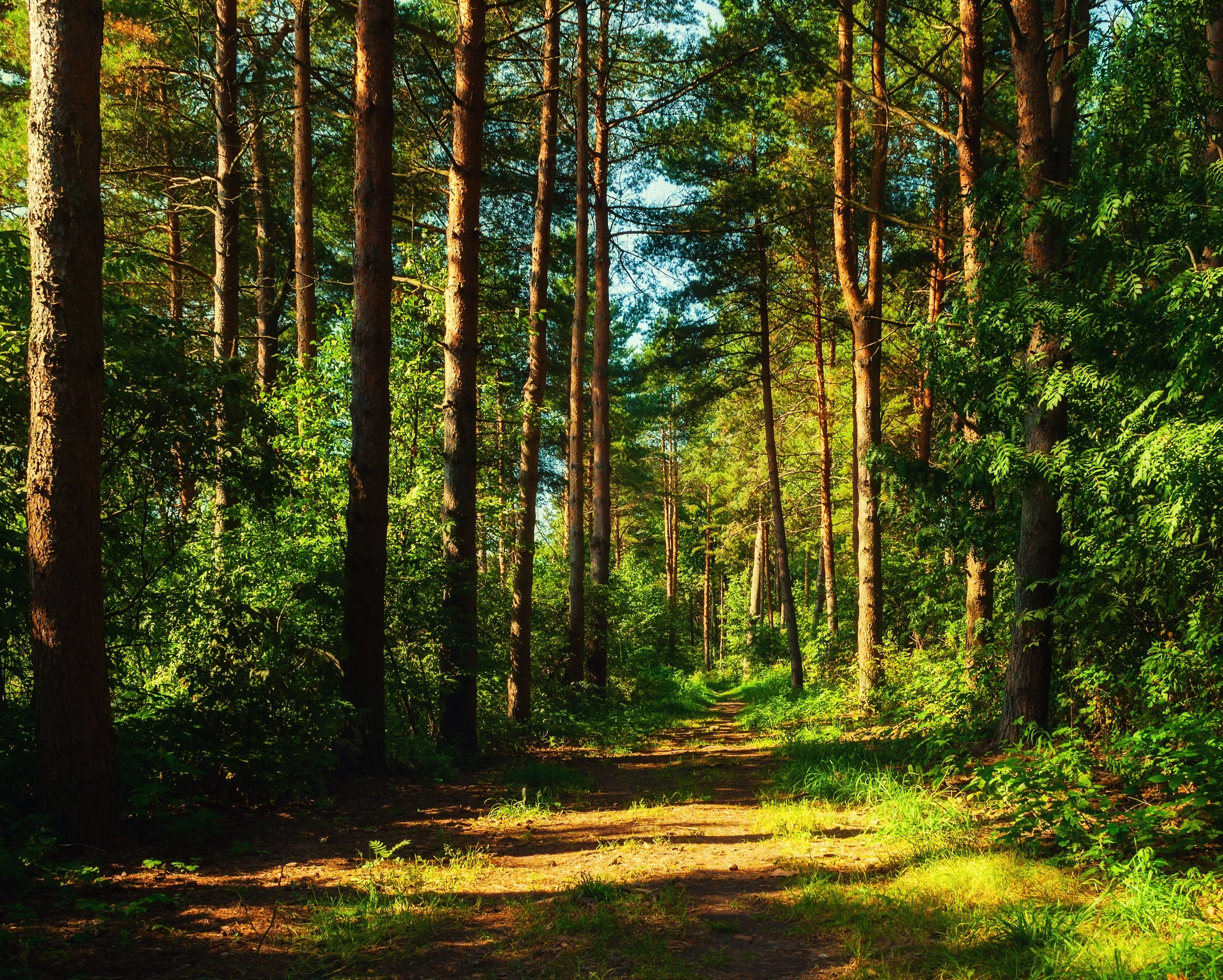 Shutterstock 2462668589