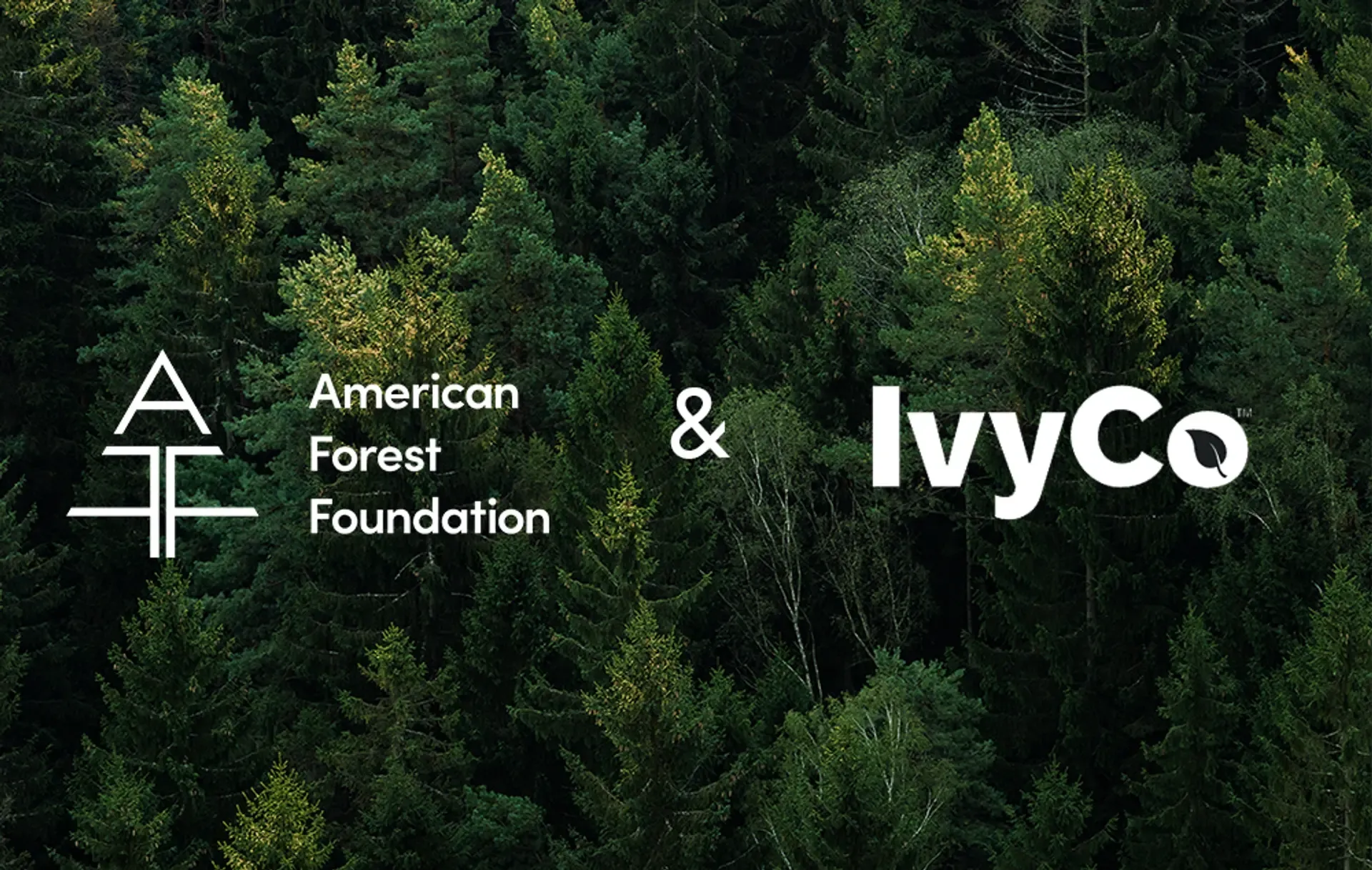 AFF-IvyCo Thumbnail
