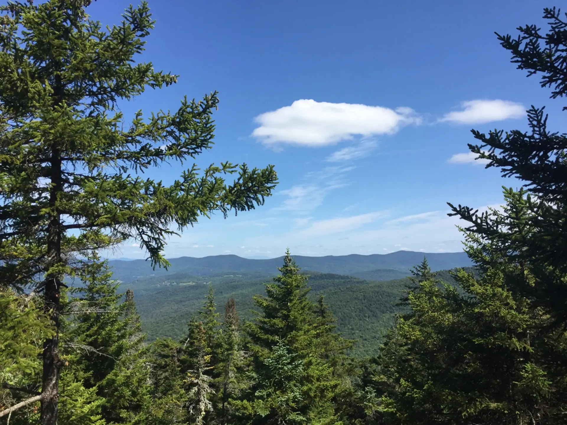 vermont-forest-landscape-over-vally-600w-1721785636