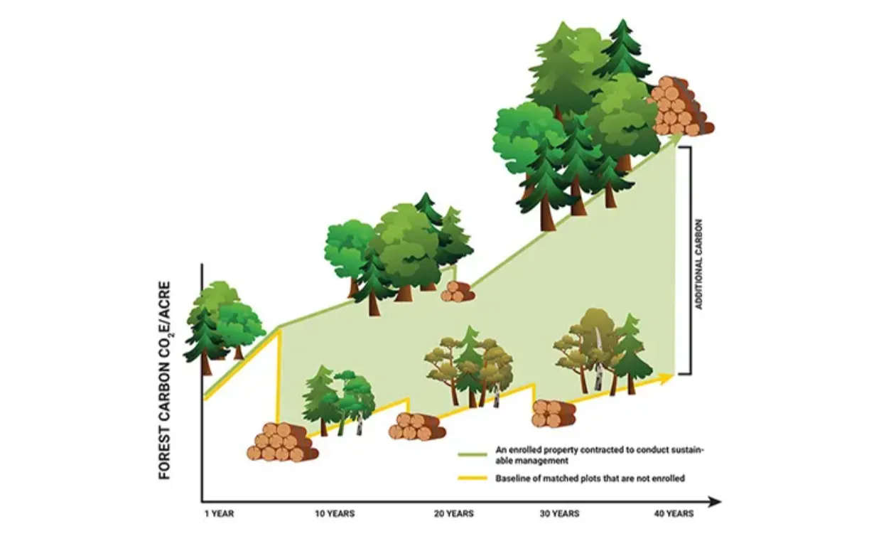 Screenshot 2025 08 28 194015