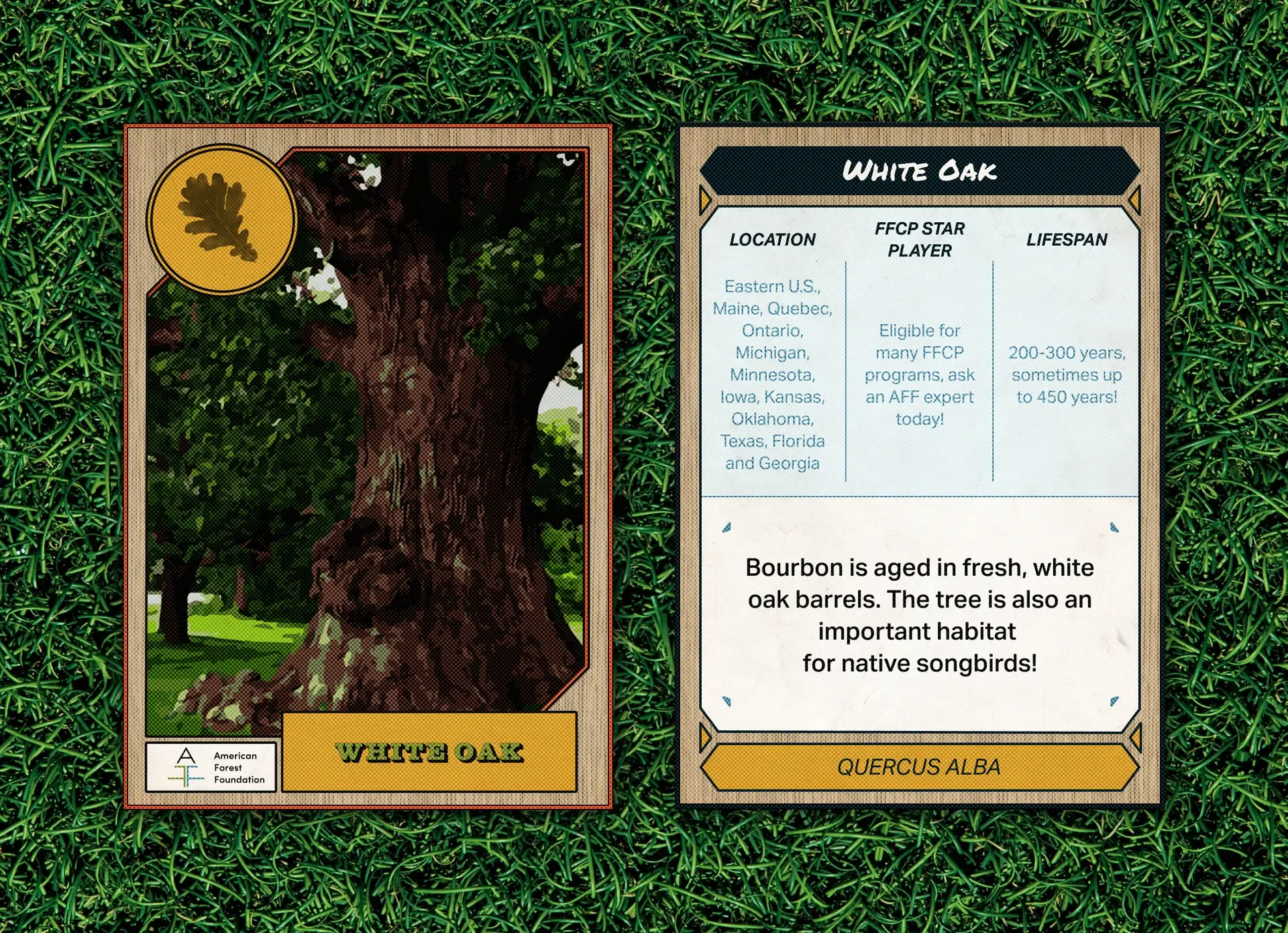 WhiteOak Grass