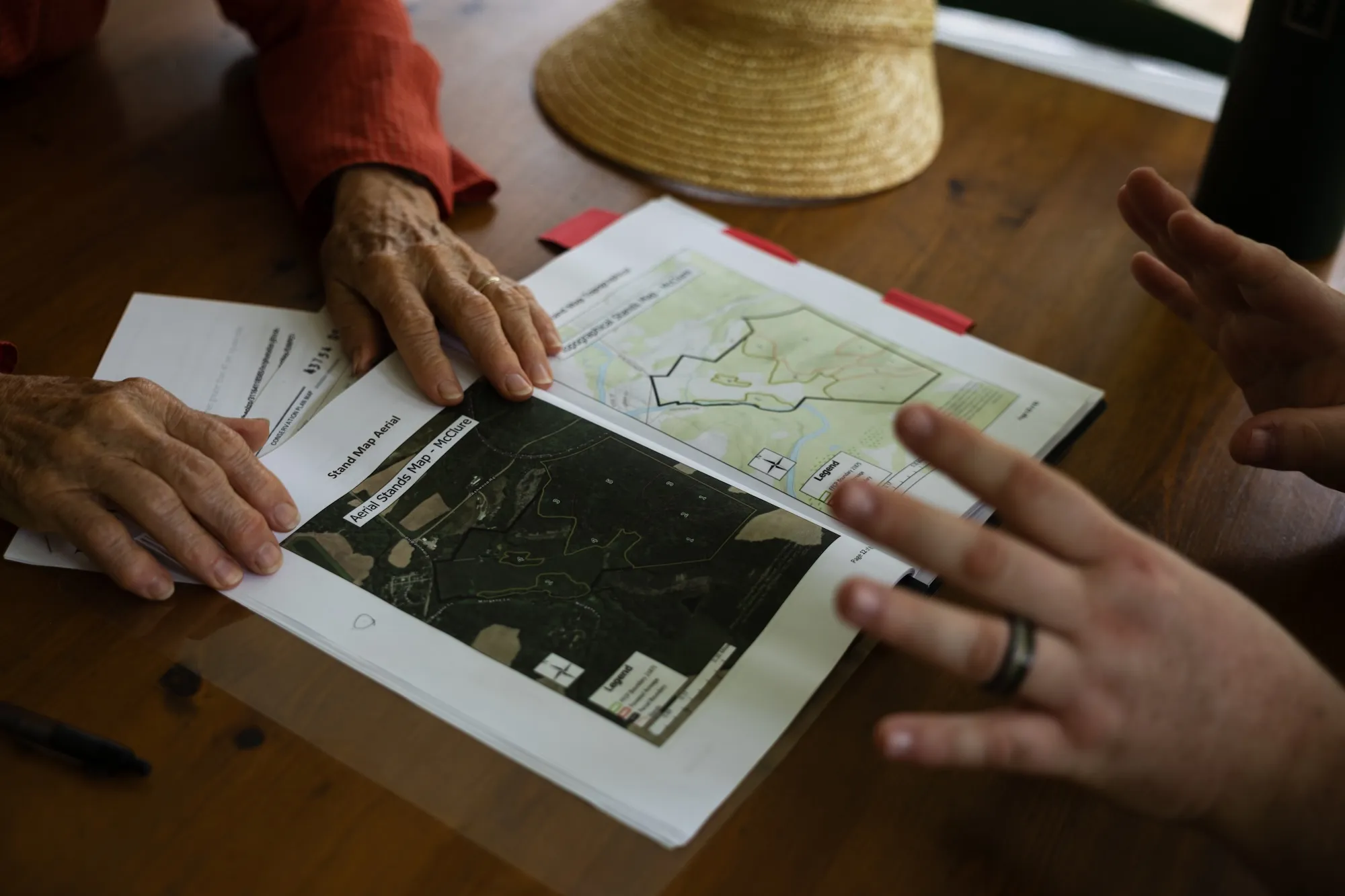 Forest Management Plan Fmp