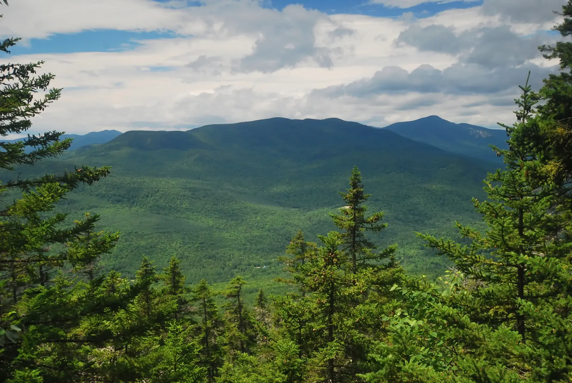 Maine Woodlands: QC Intel