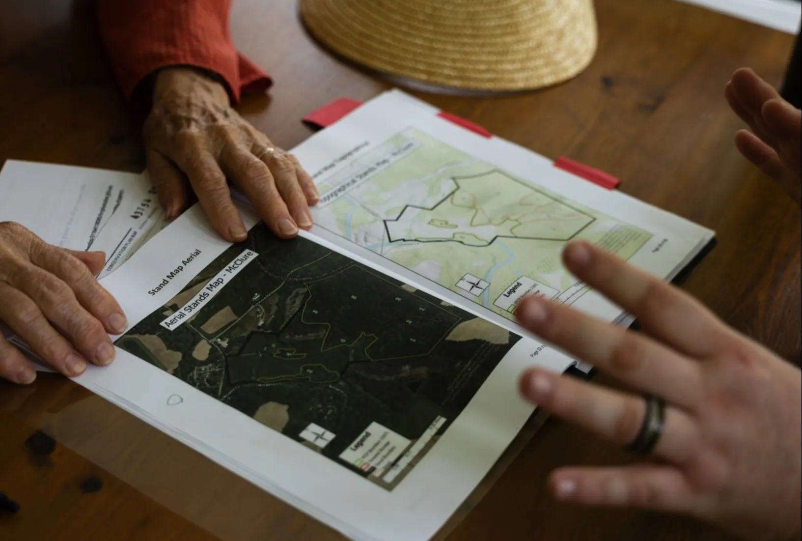Forest Management Plan Fmp