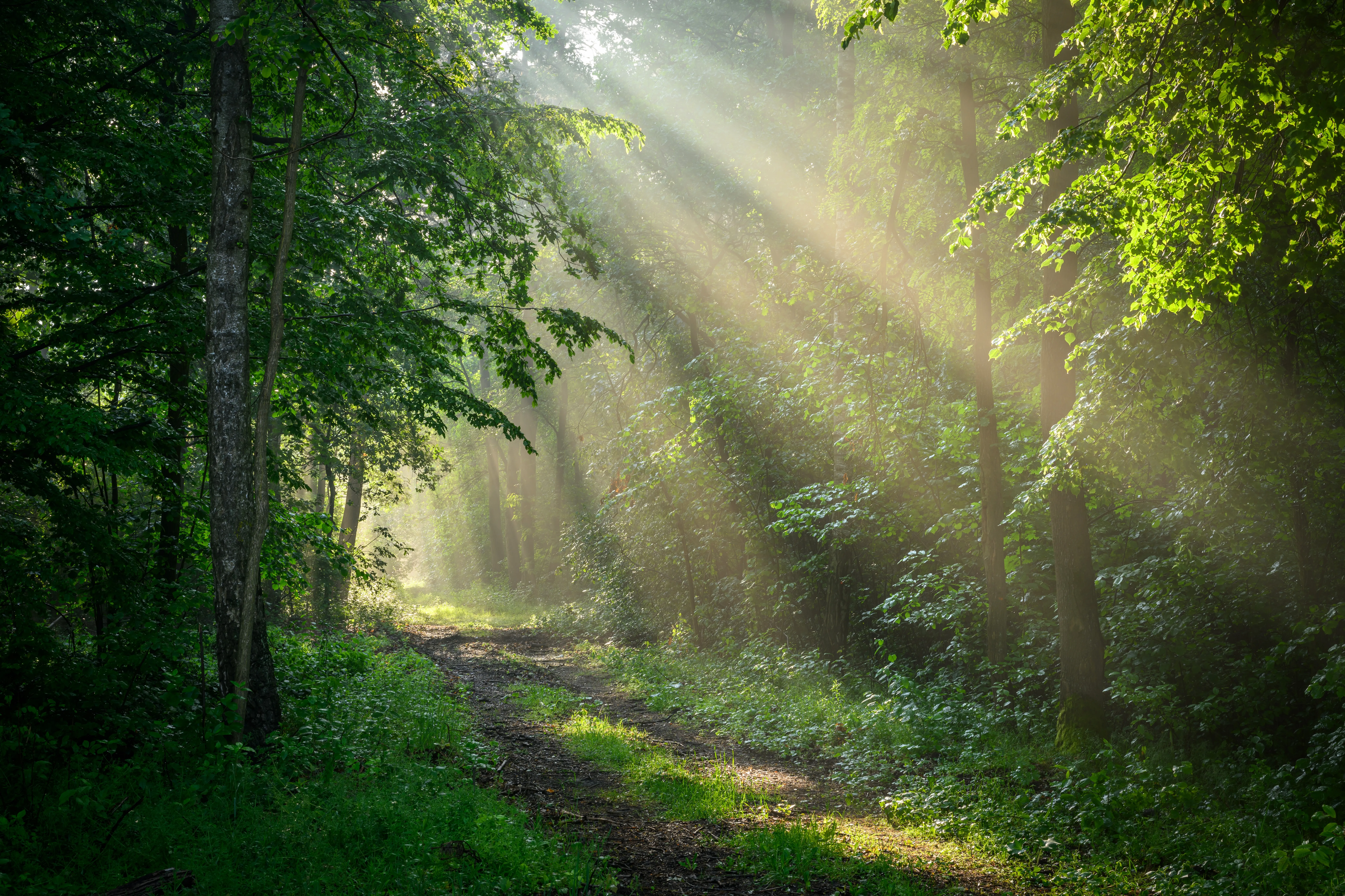 Shutterstock 2475029567