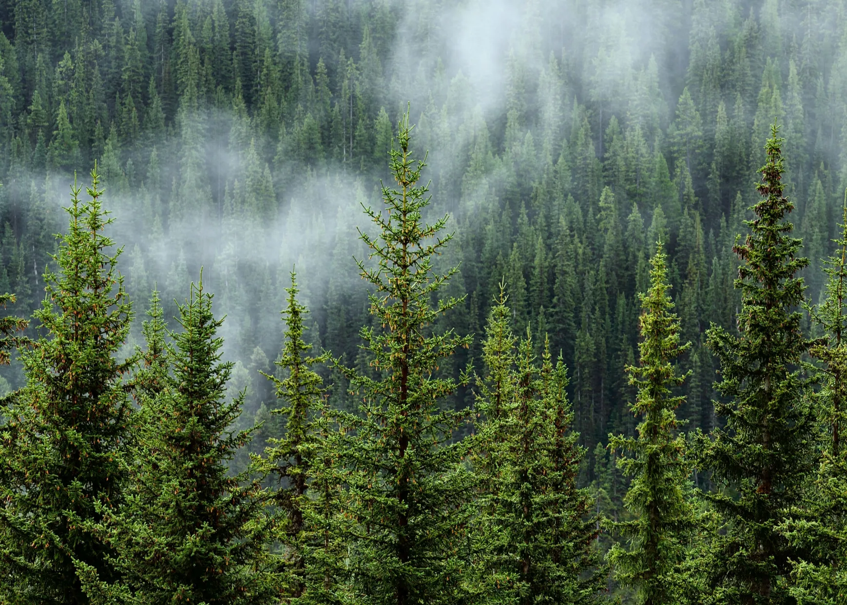 143,000 Acres Enrolled= (1)