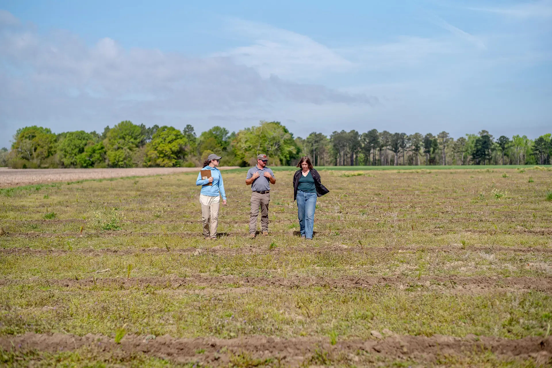 Field to Forest Press Release Image
