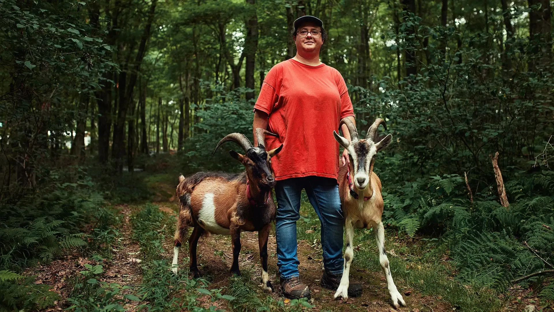Monica and goats