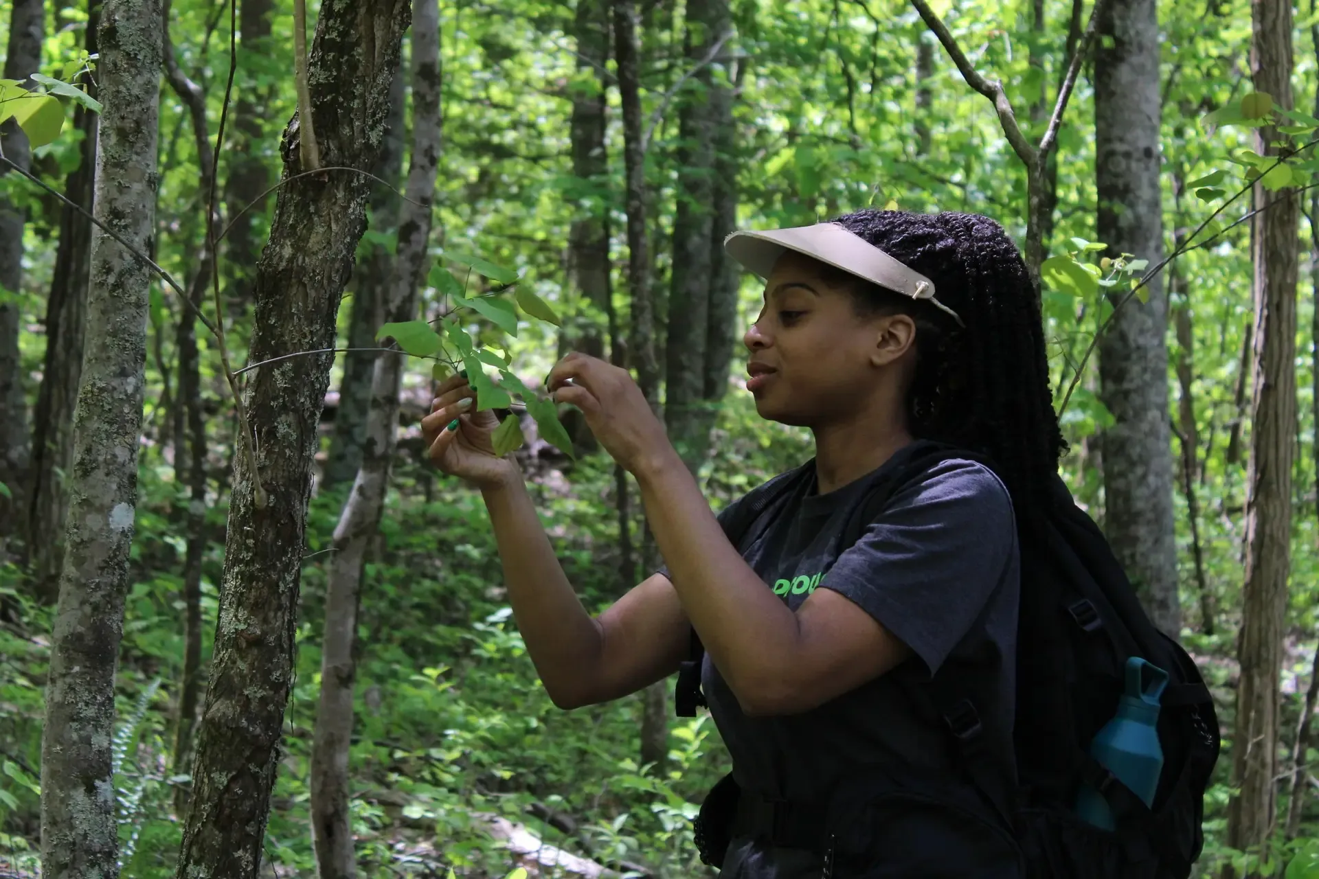 Board Member Spotlight: Jasmine K. Brown | American Forest Foundation