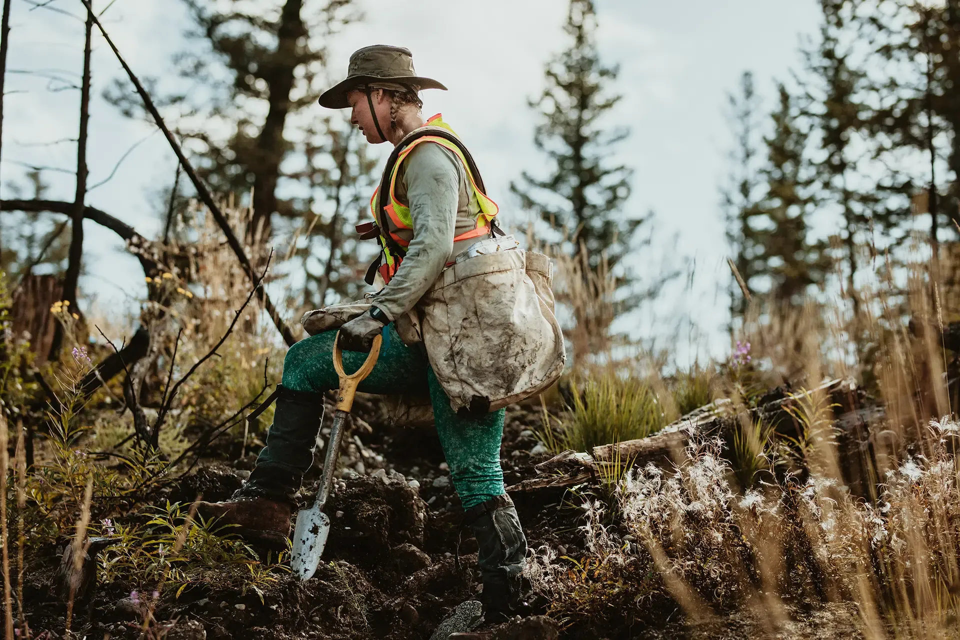 Forester Working In Forest_Shutterstock_1763600189_medium