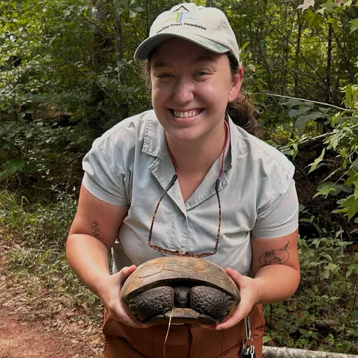 T5 F3 A7 Ztr U08 N K6 D7 L V8 569a462a0035 512