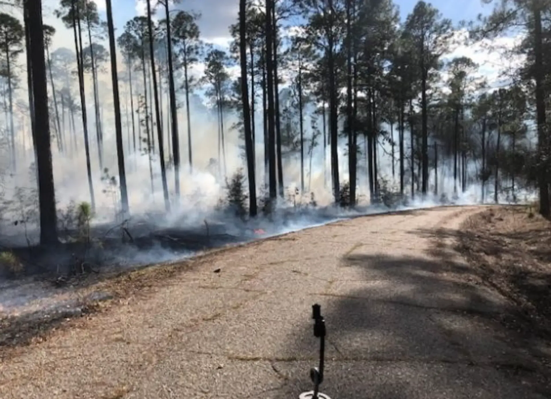 Hodges farm burn