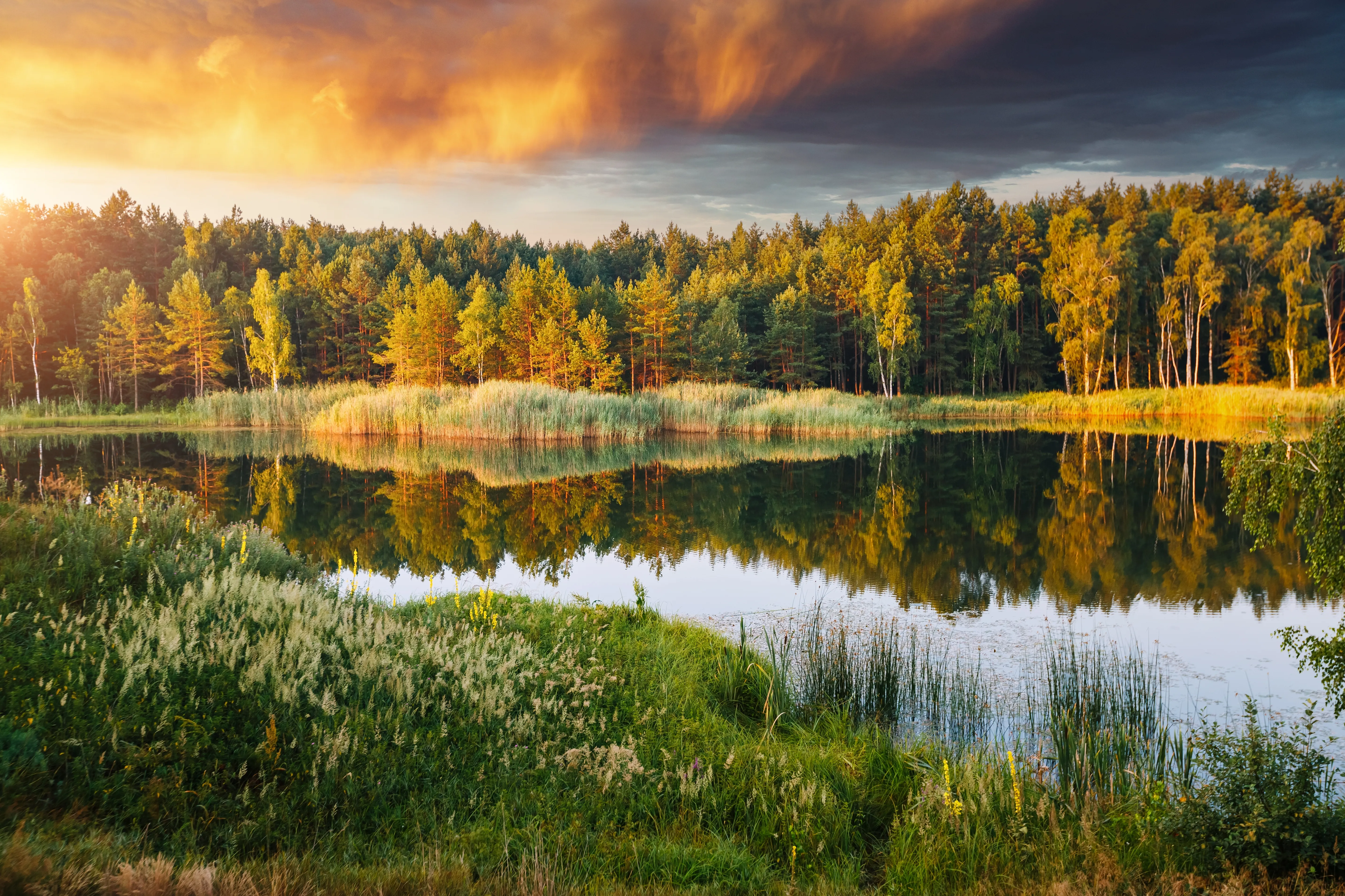 Shutterstock 2479236049