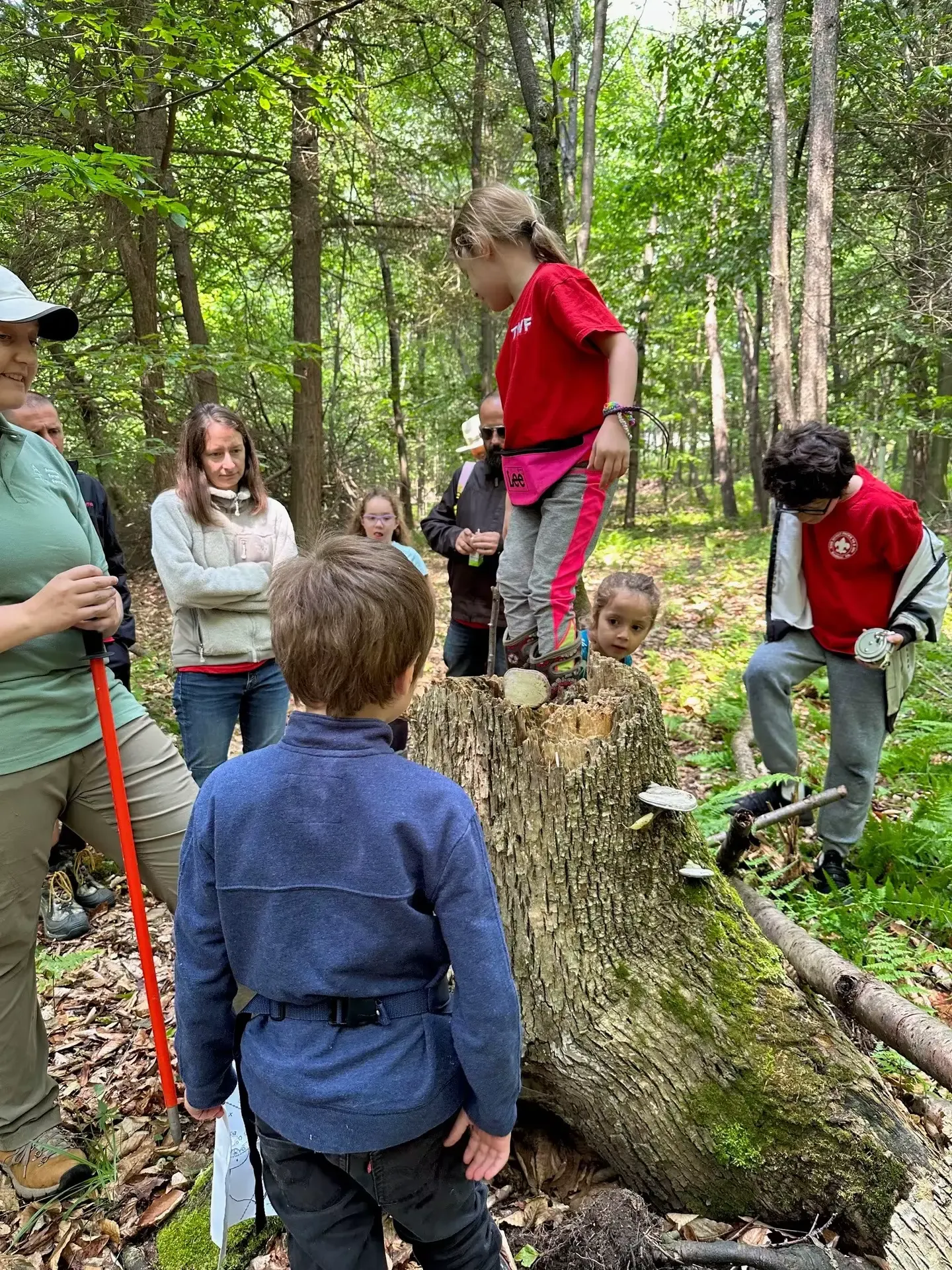 AFF-discussing-deadwoods-with-landowner