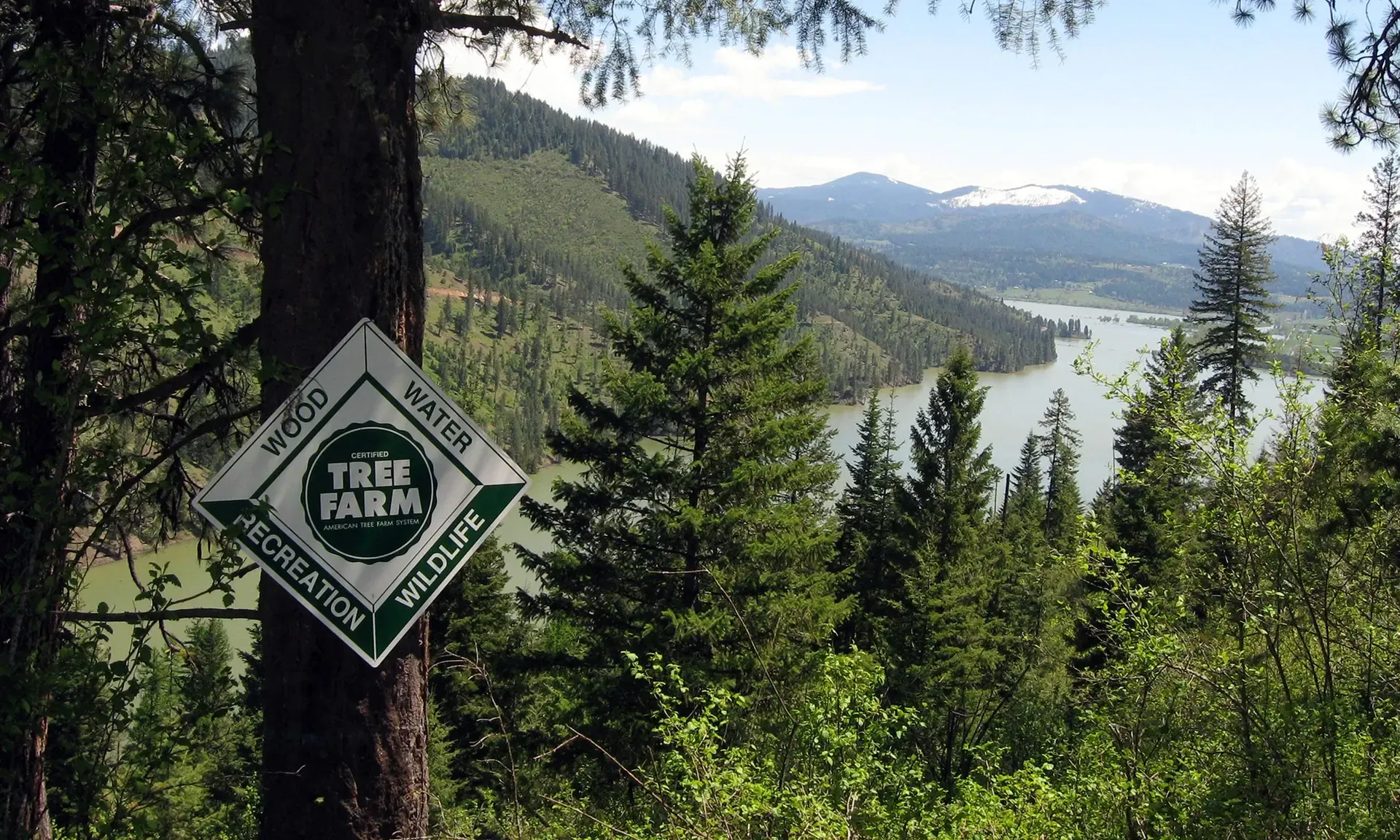 ATFS Tree Farm Sign-Over Lake