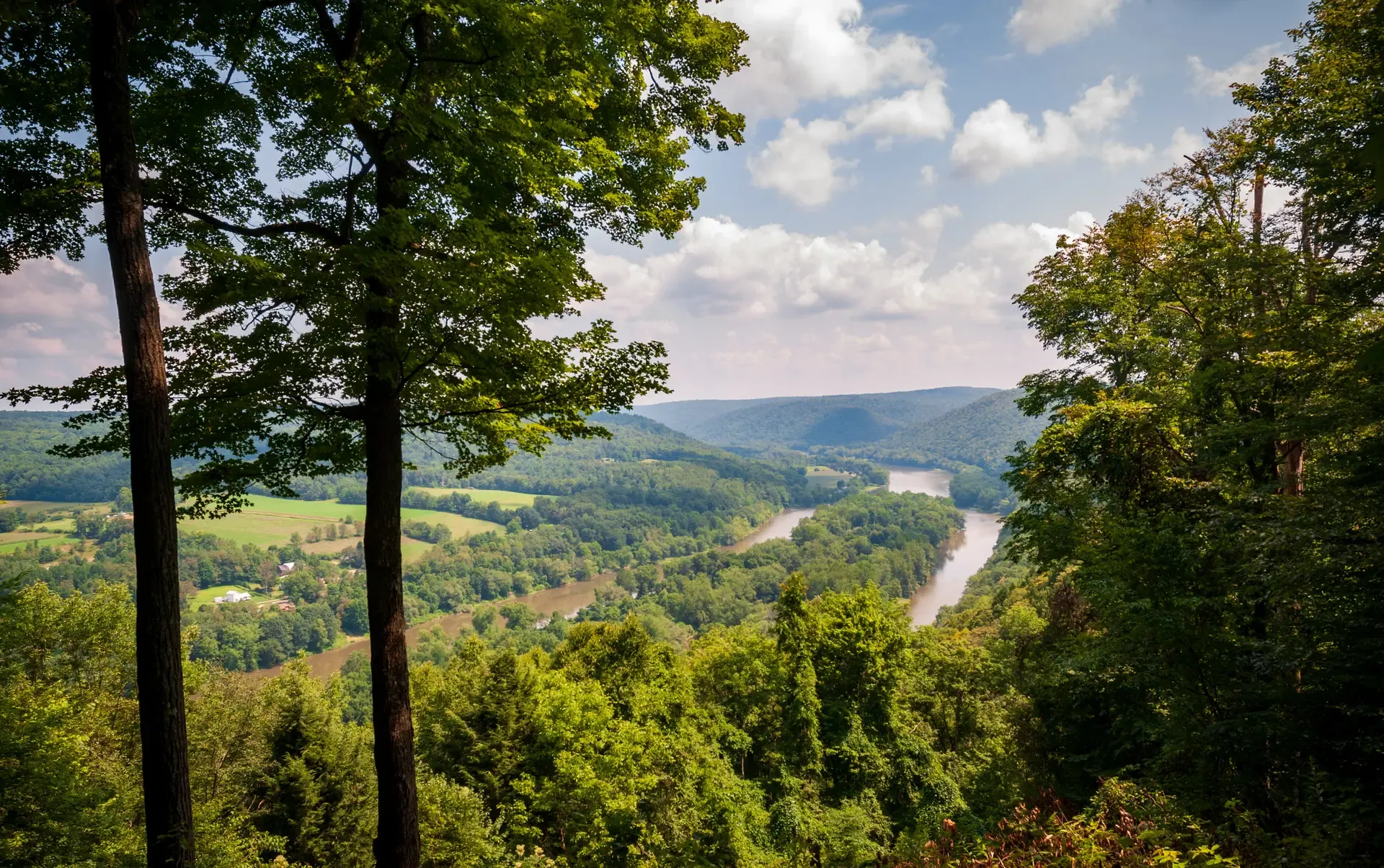 Alleghany Forest (PA)_shutterstock_1811895250