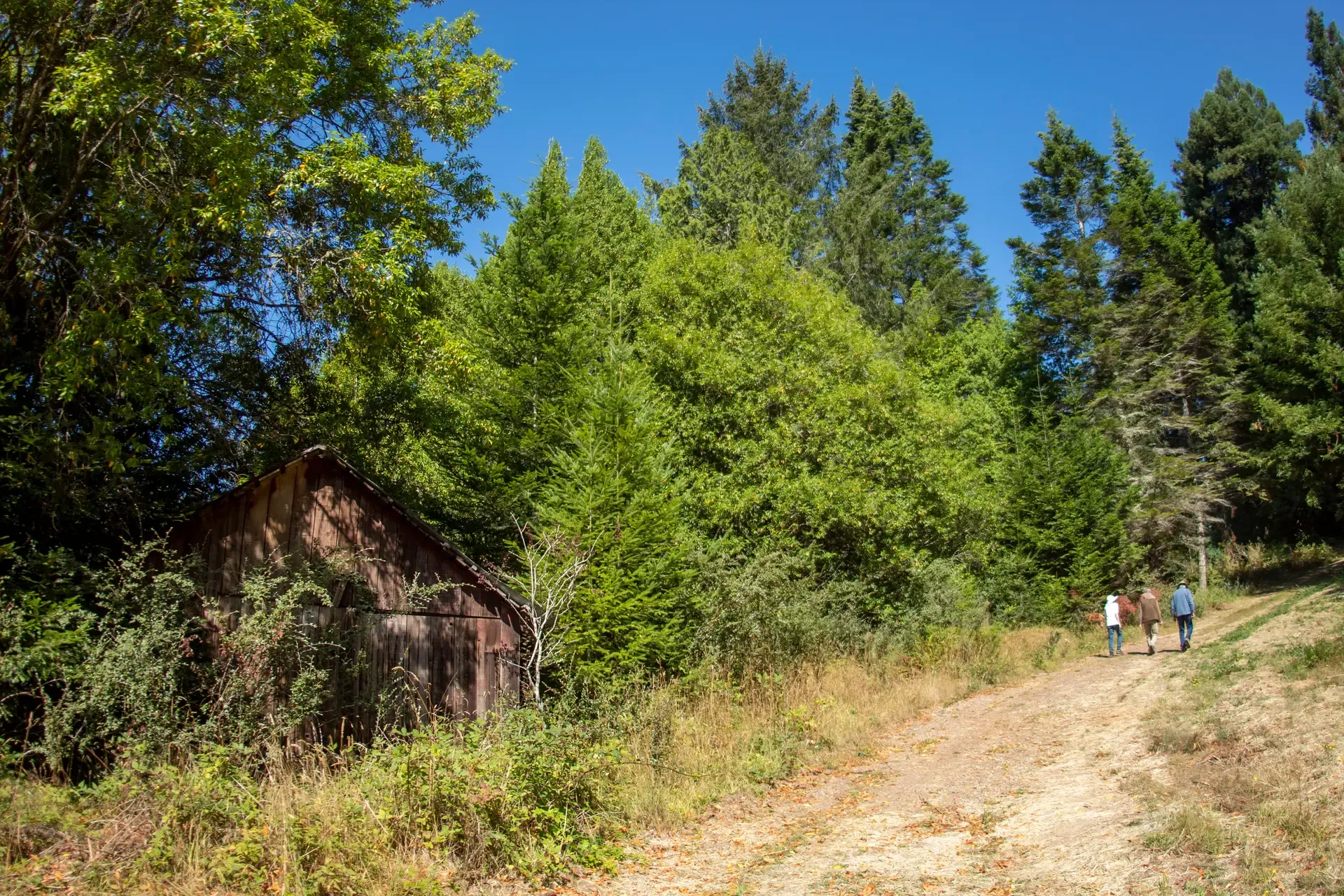 Tree Farm Tour of Claire Mcadams-CA-2019-Photo cred the buckeye conservancy