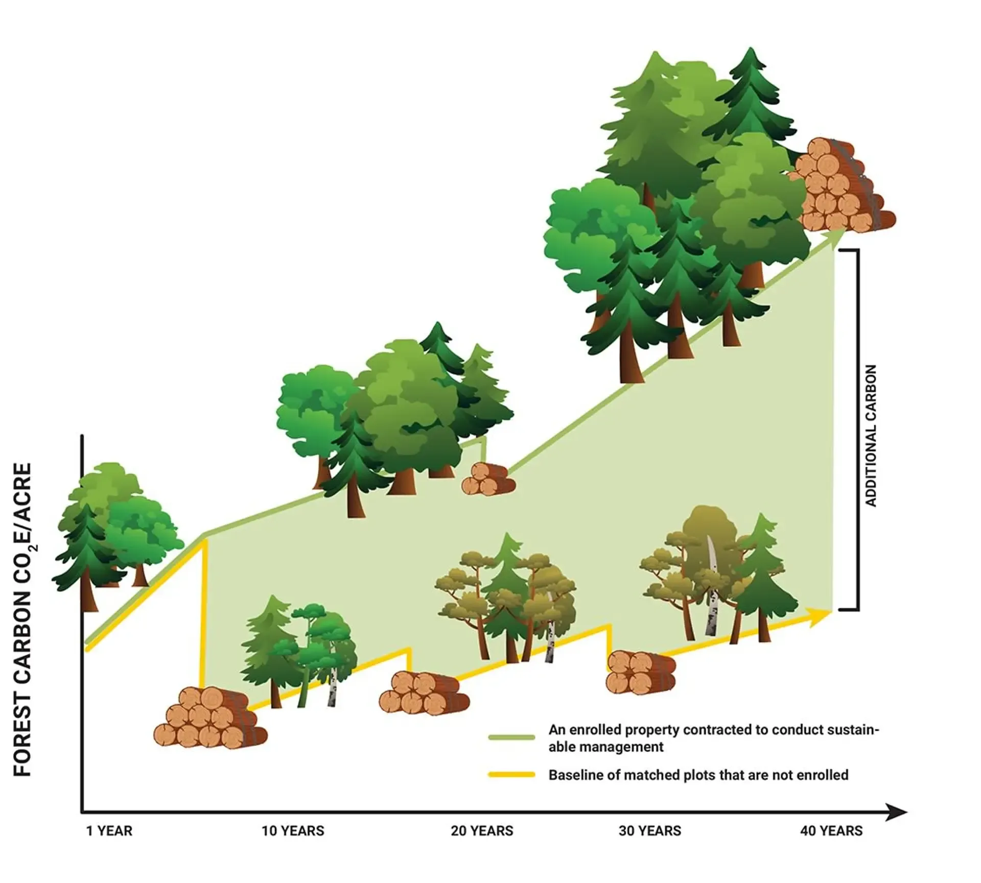 FFCP Infographic-4