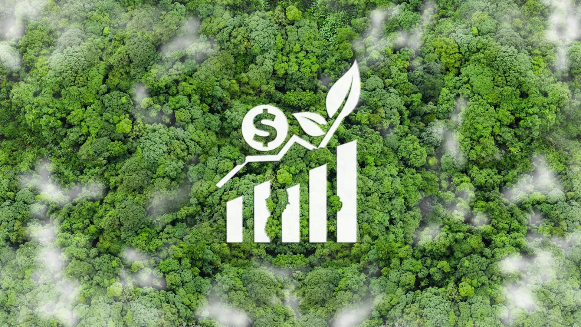 Forest with Graph