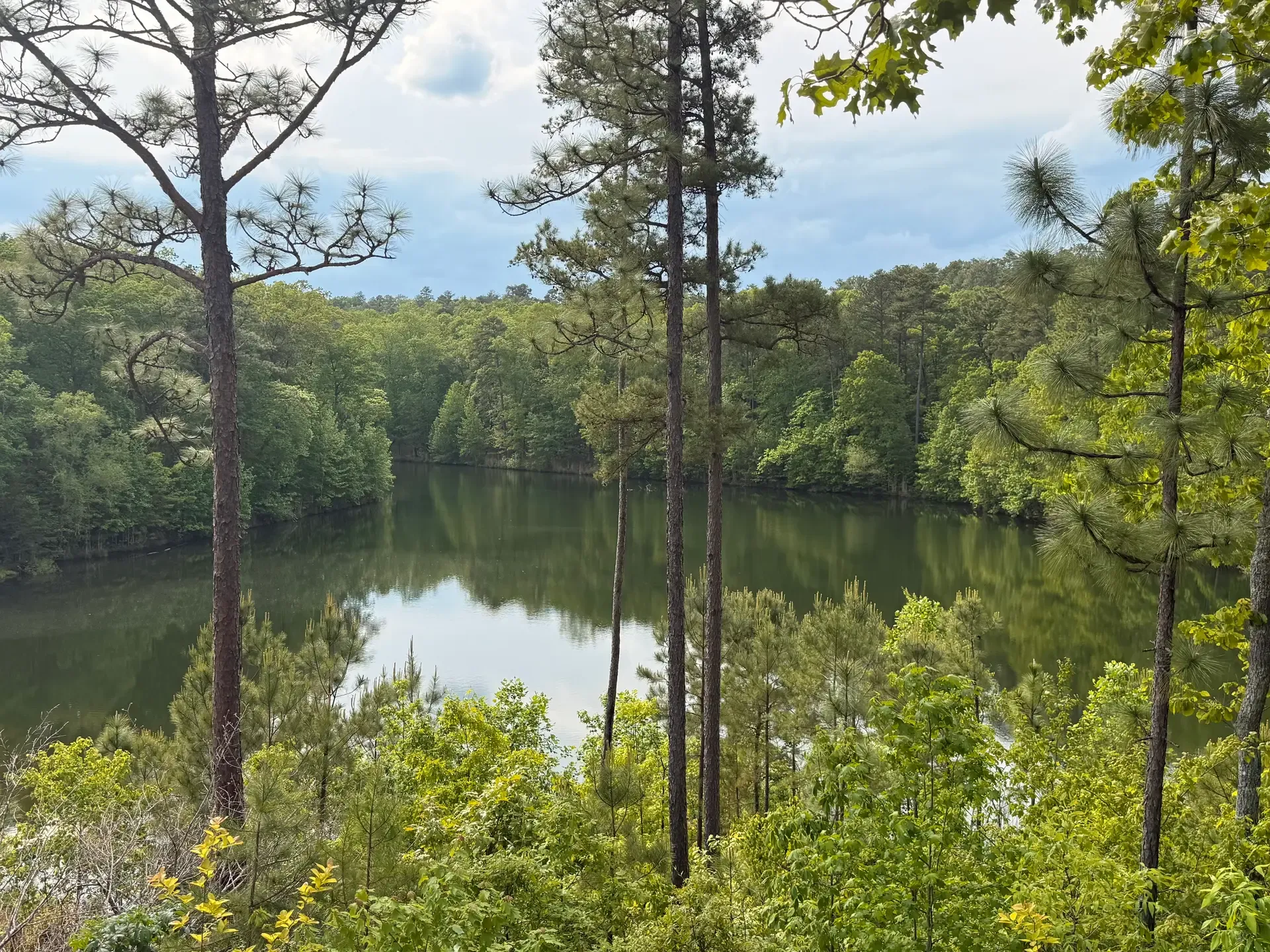 David Horsley's Alabama property
