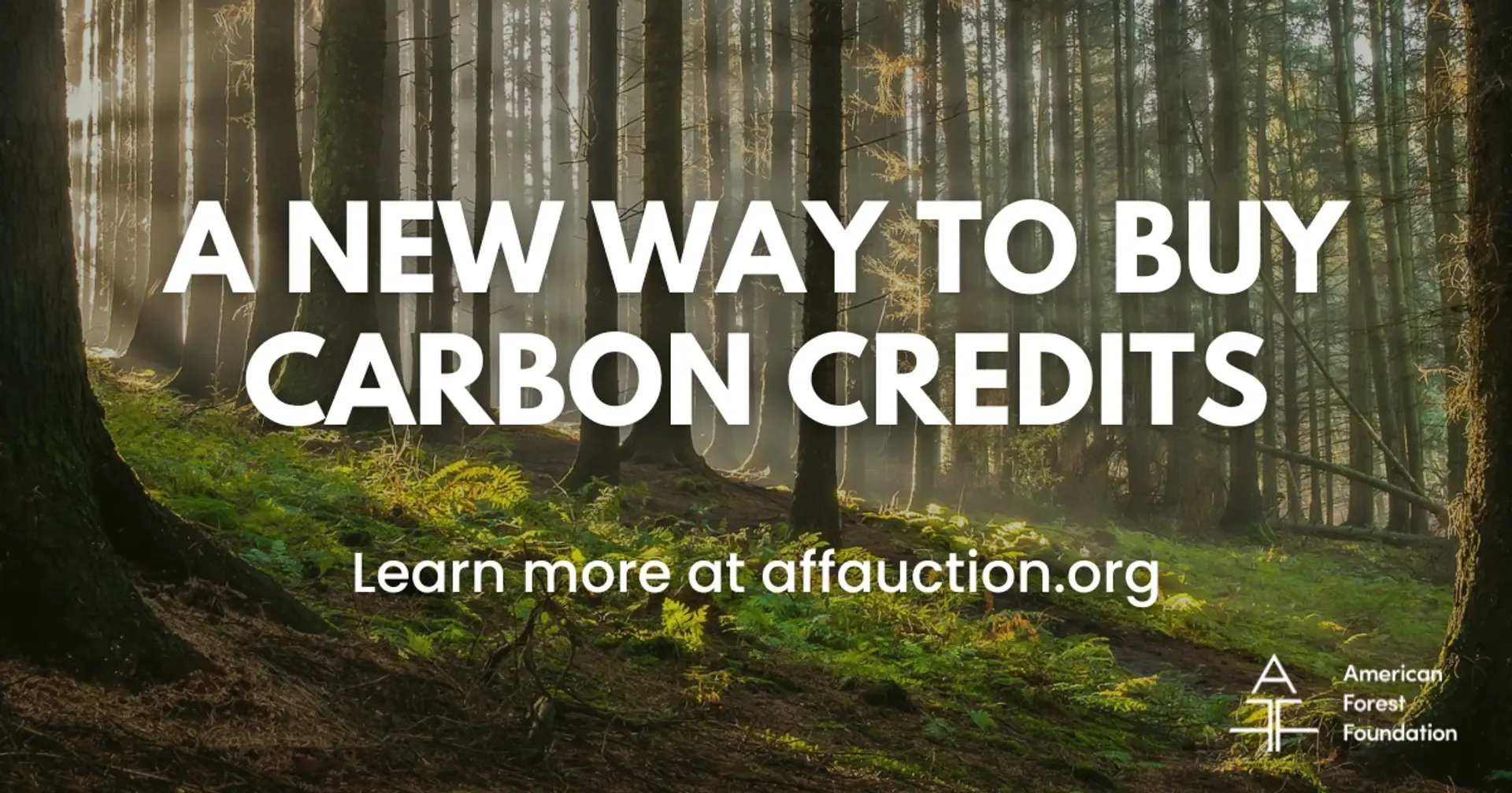 a new way to buy carbon credits thumbnail