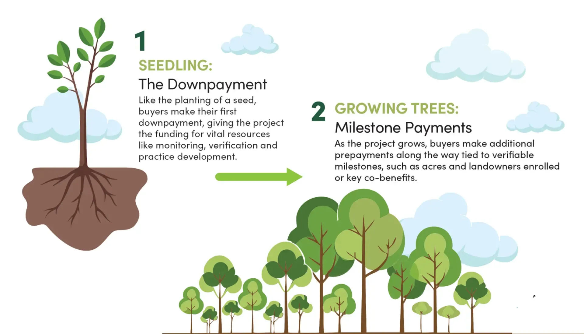 prepayments steps 1&2
