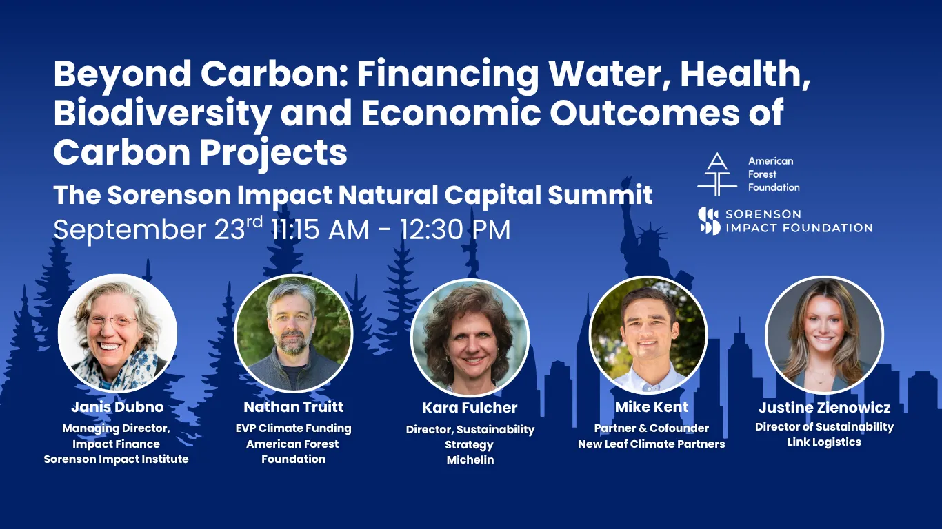 Copy of Philanthropy Webinar Graphics (website) (13)
