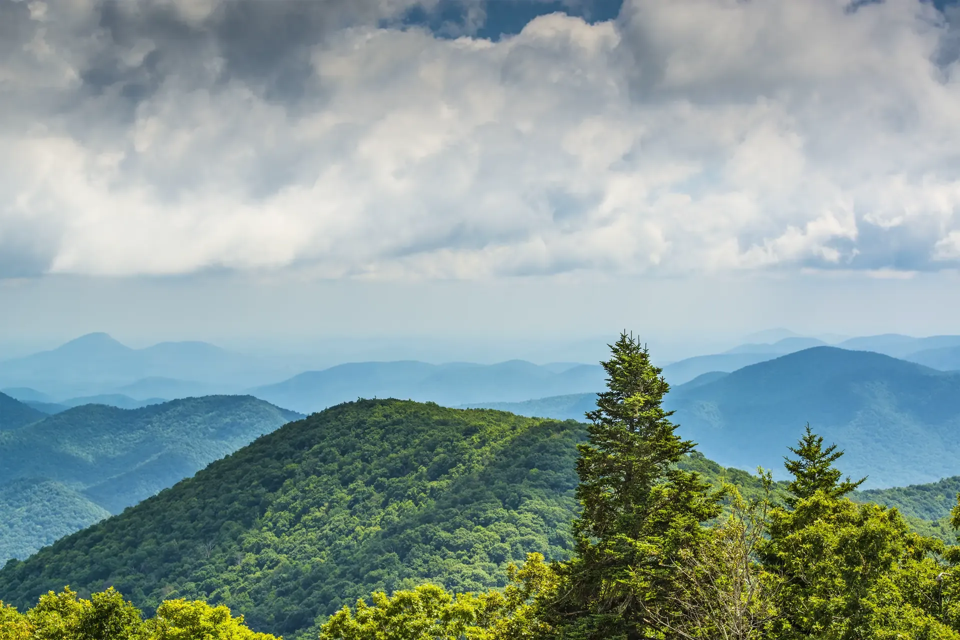 Pfeiffer-Family-Forests-AFF
